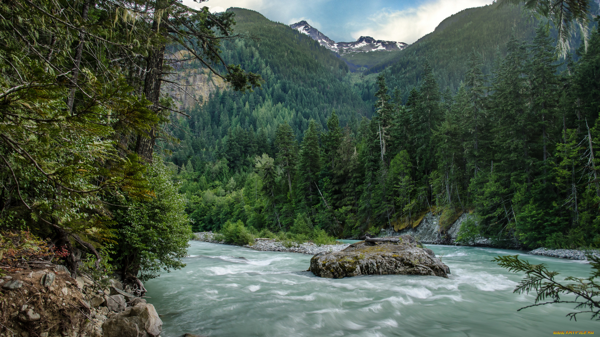 природа, реки, озера, лес, река