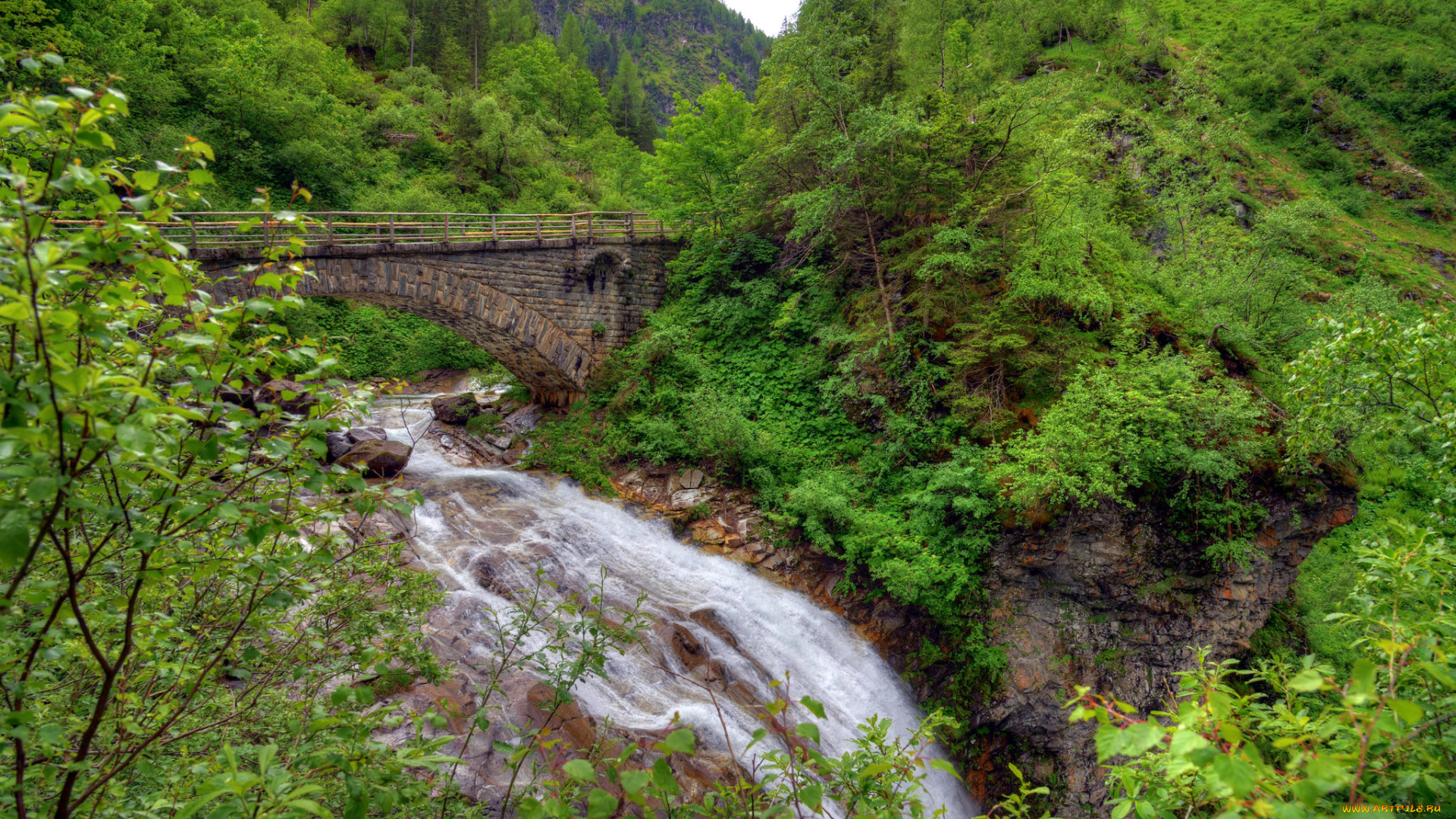 природа, реки, озера, лес, река