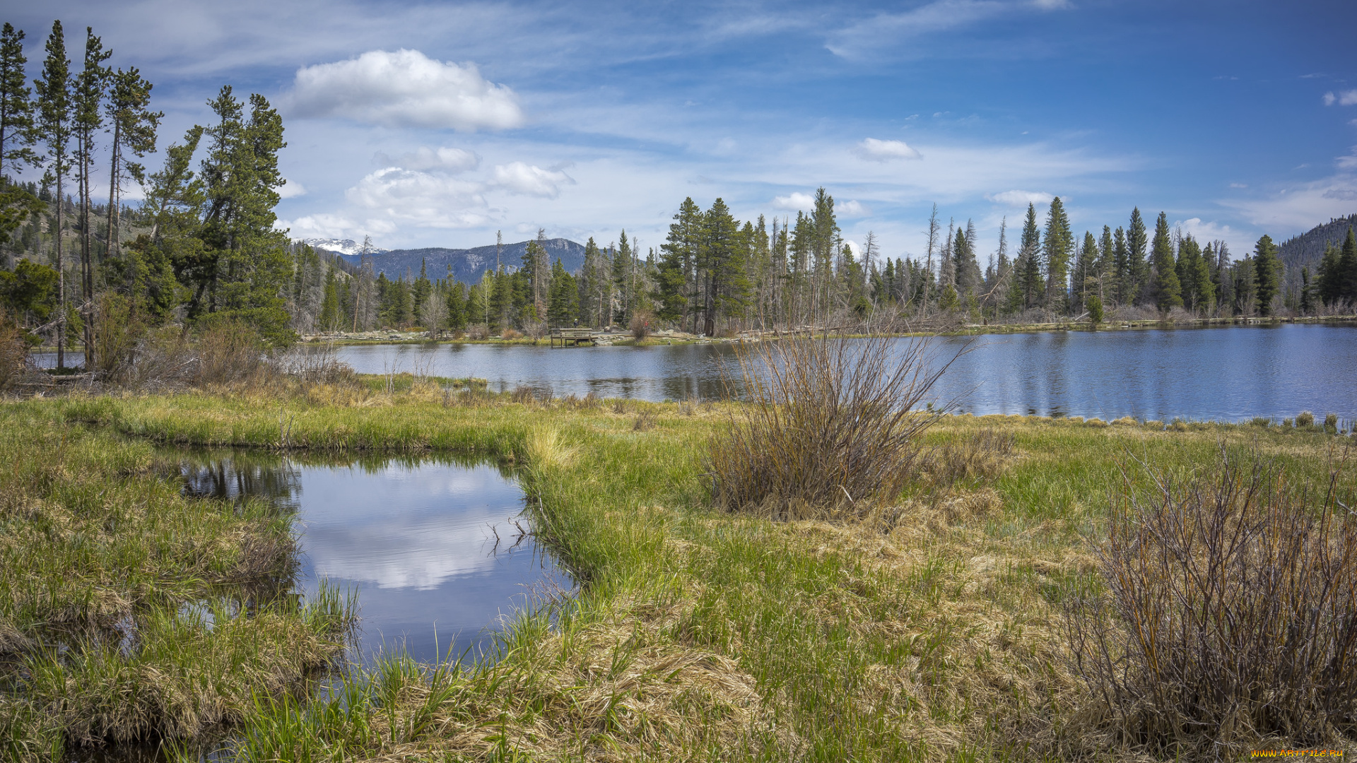 природа, реки, озера, лес, река