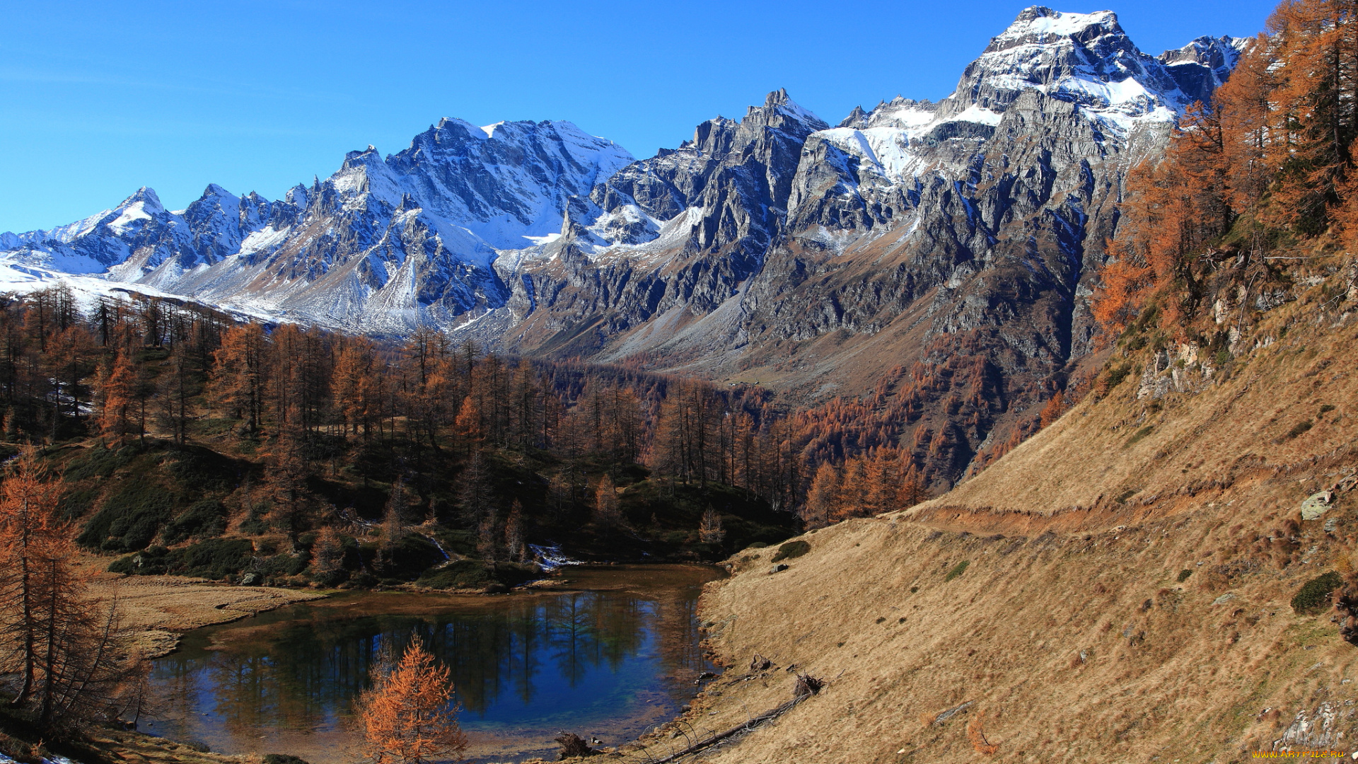 природа, реки, озера, лес, река