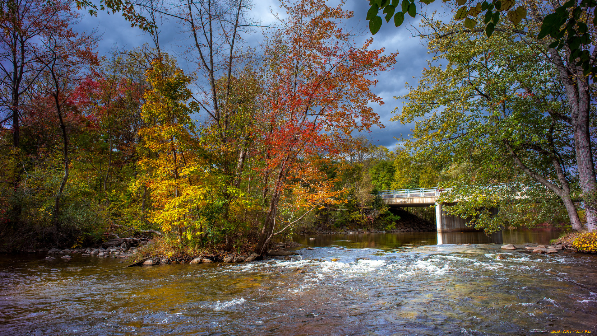 природа, реки, озера, река, лес