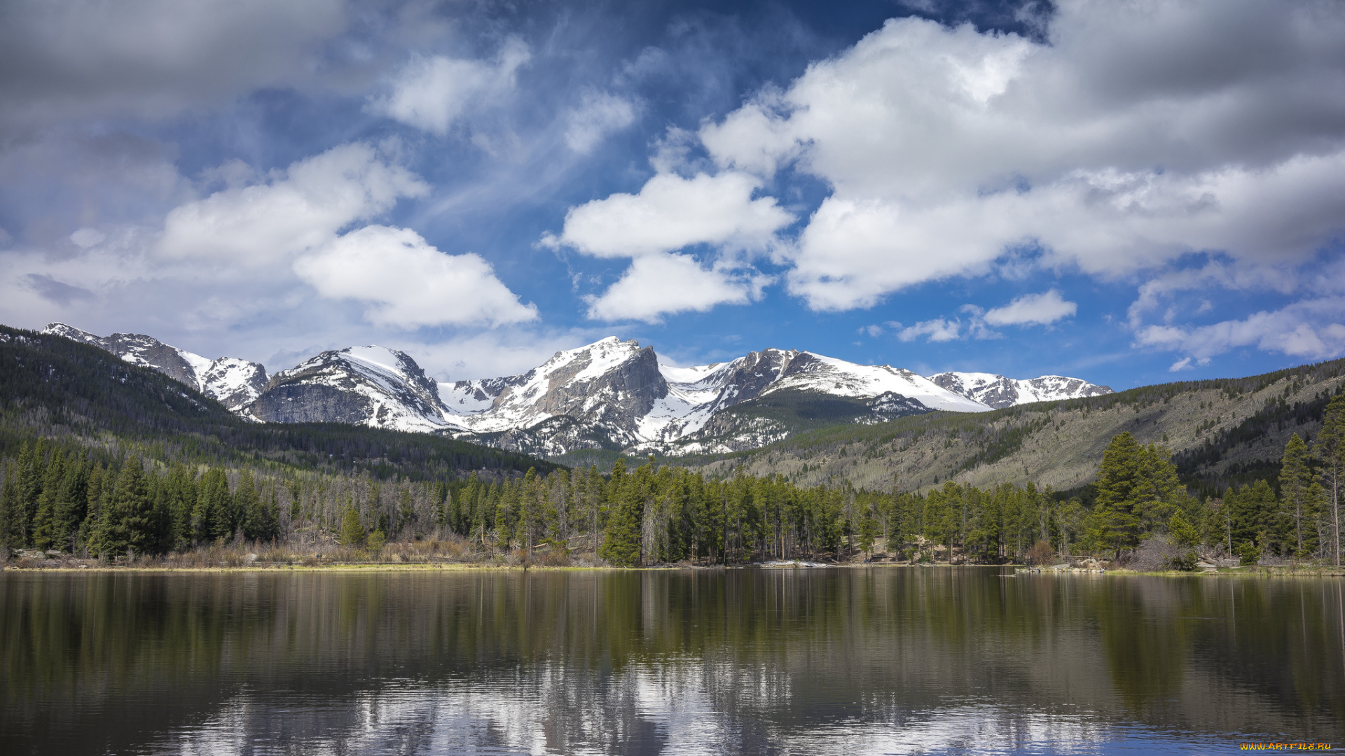 природа, реки, озера, река, лес