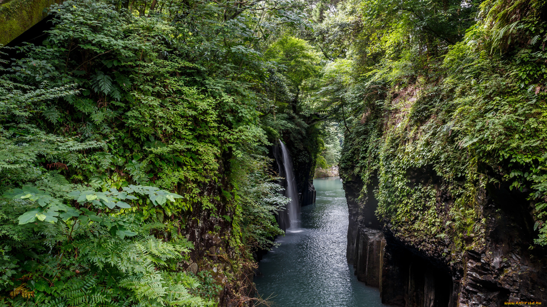 природа, водопады, лес, река, водопад