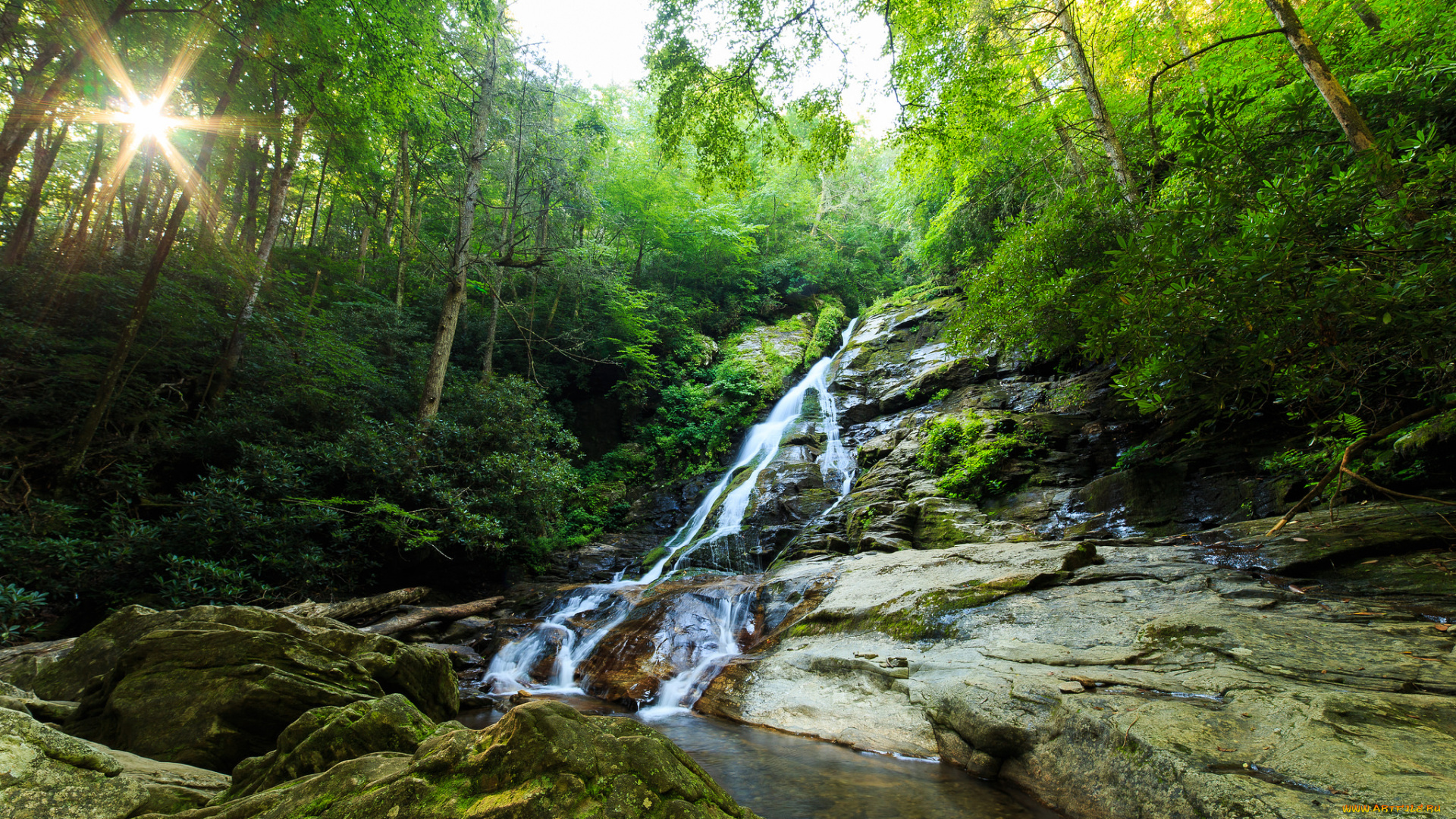 природа, водопады, лес, река, водопад