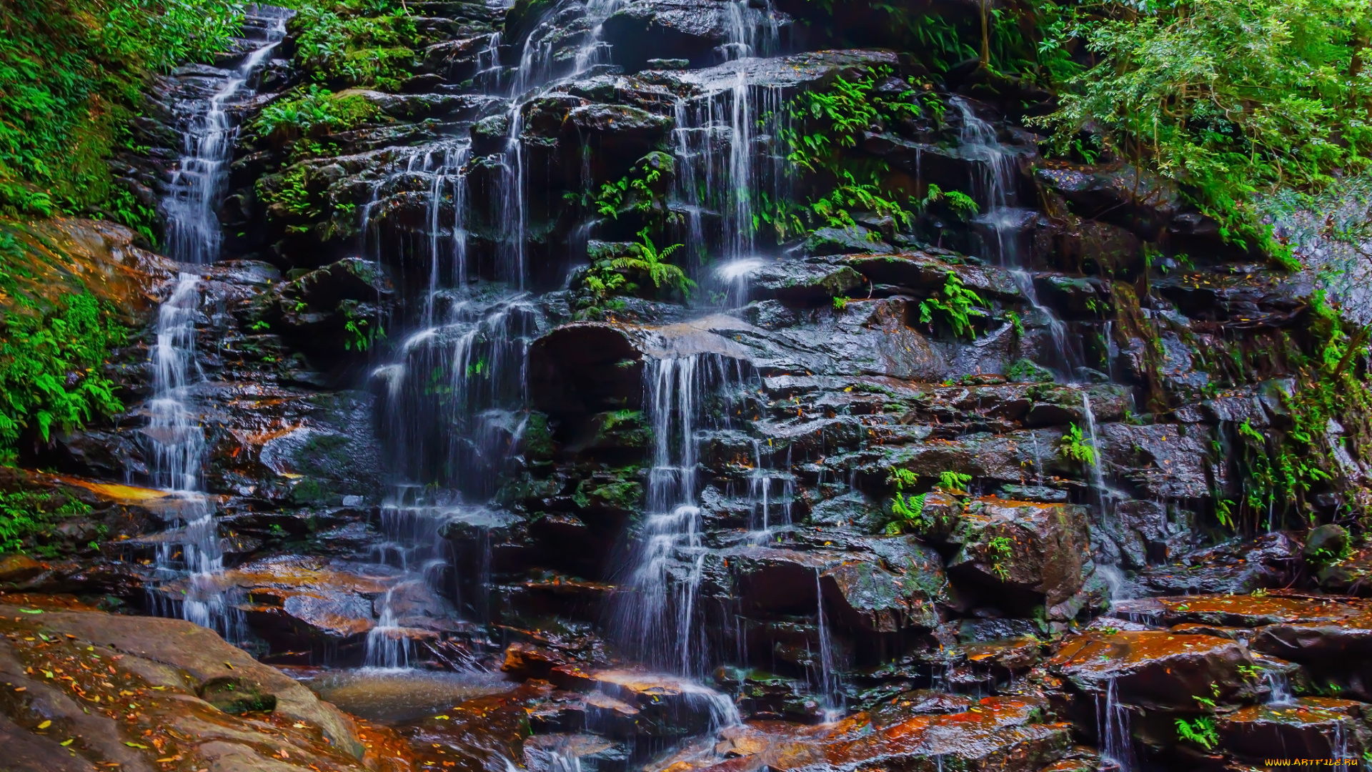 природа, водопады, водопад, река, лес