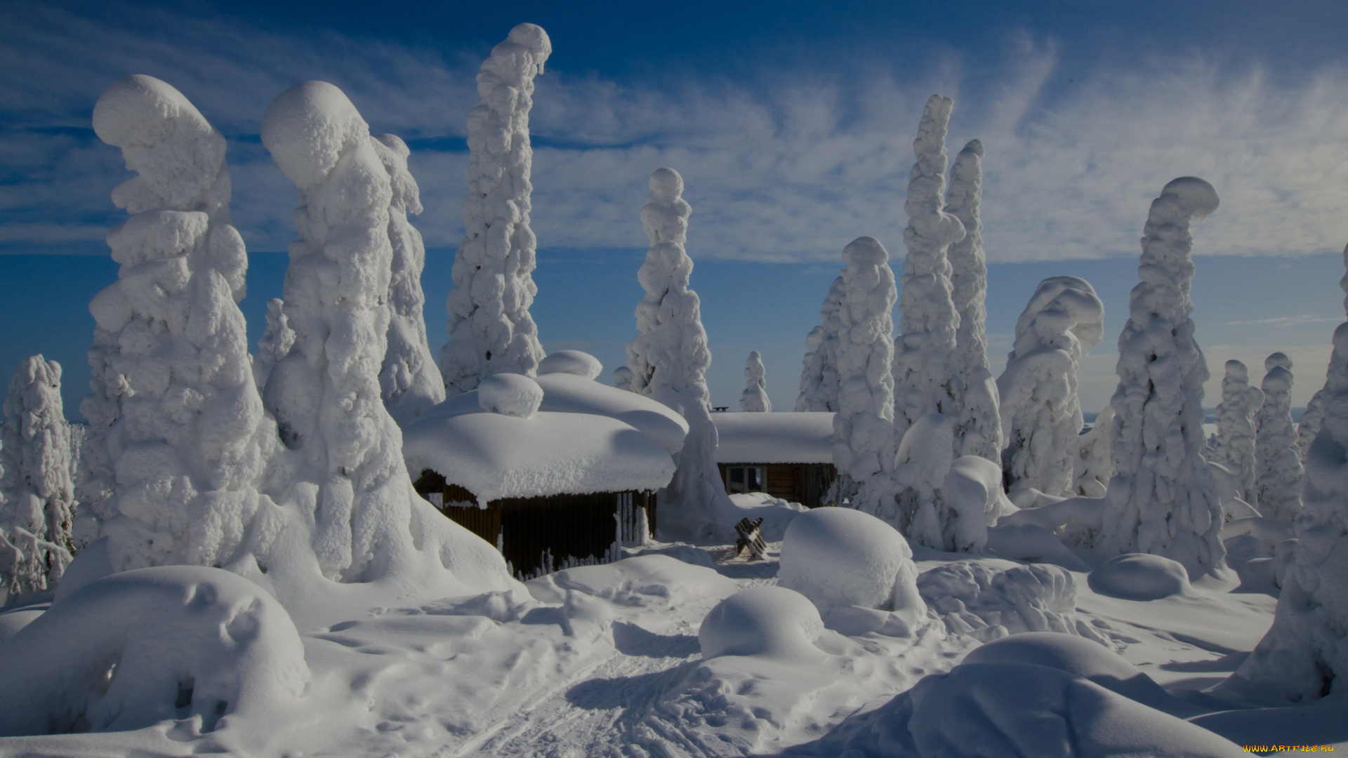 природа, зима, снег