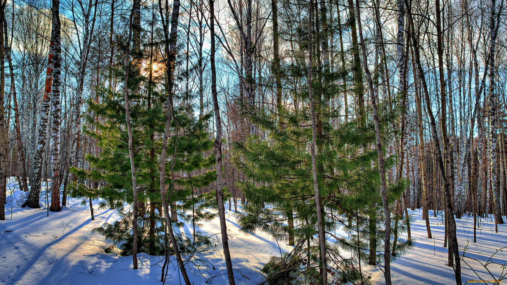 природа, зима, снег