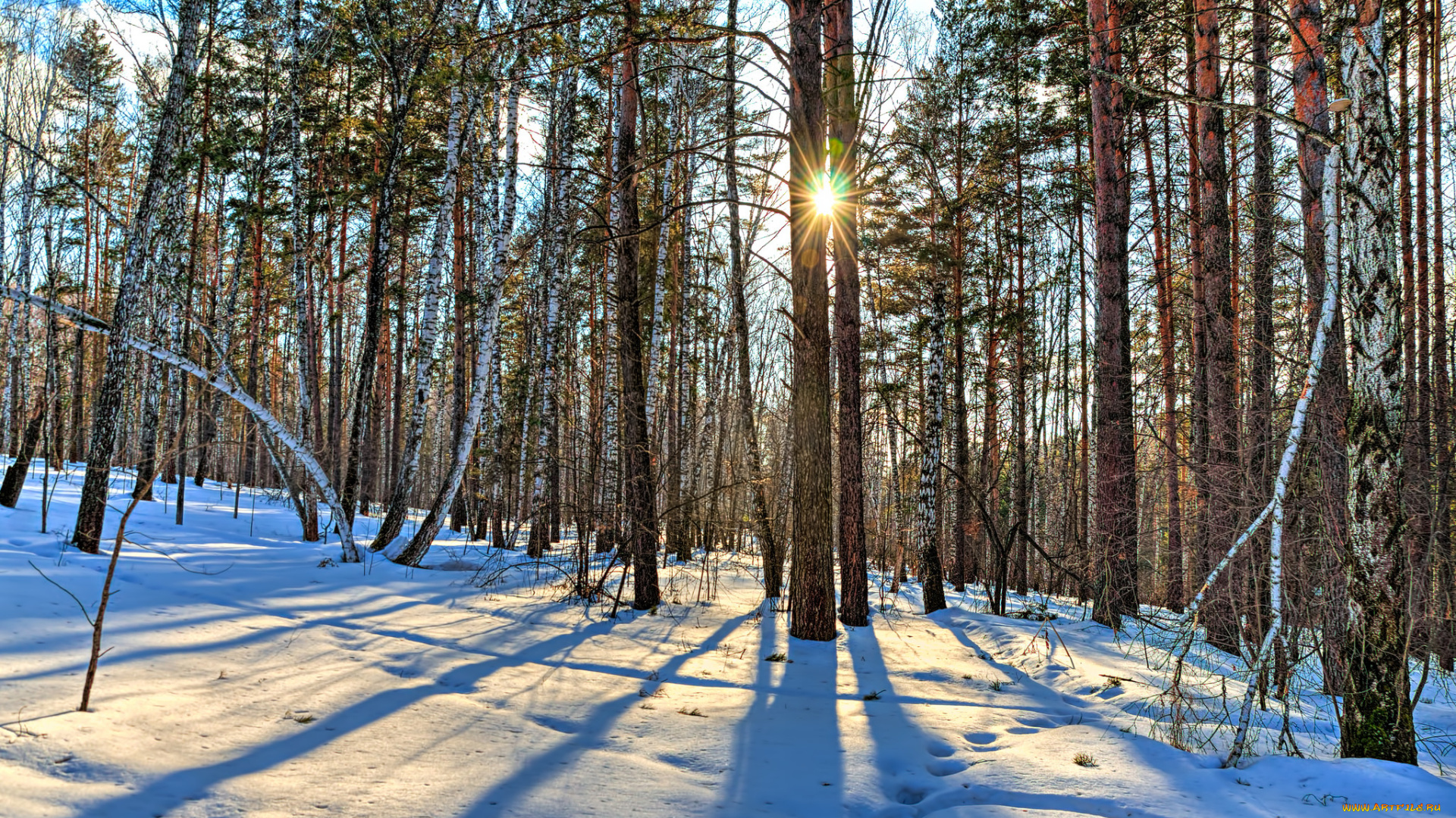 природа, зима, снег