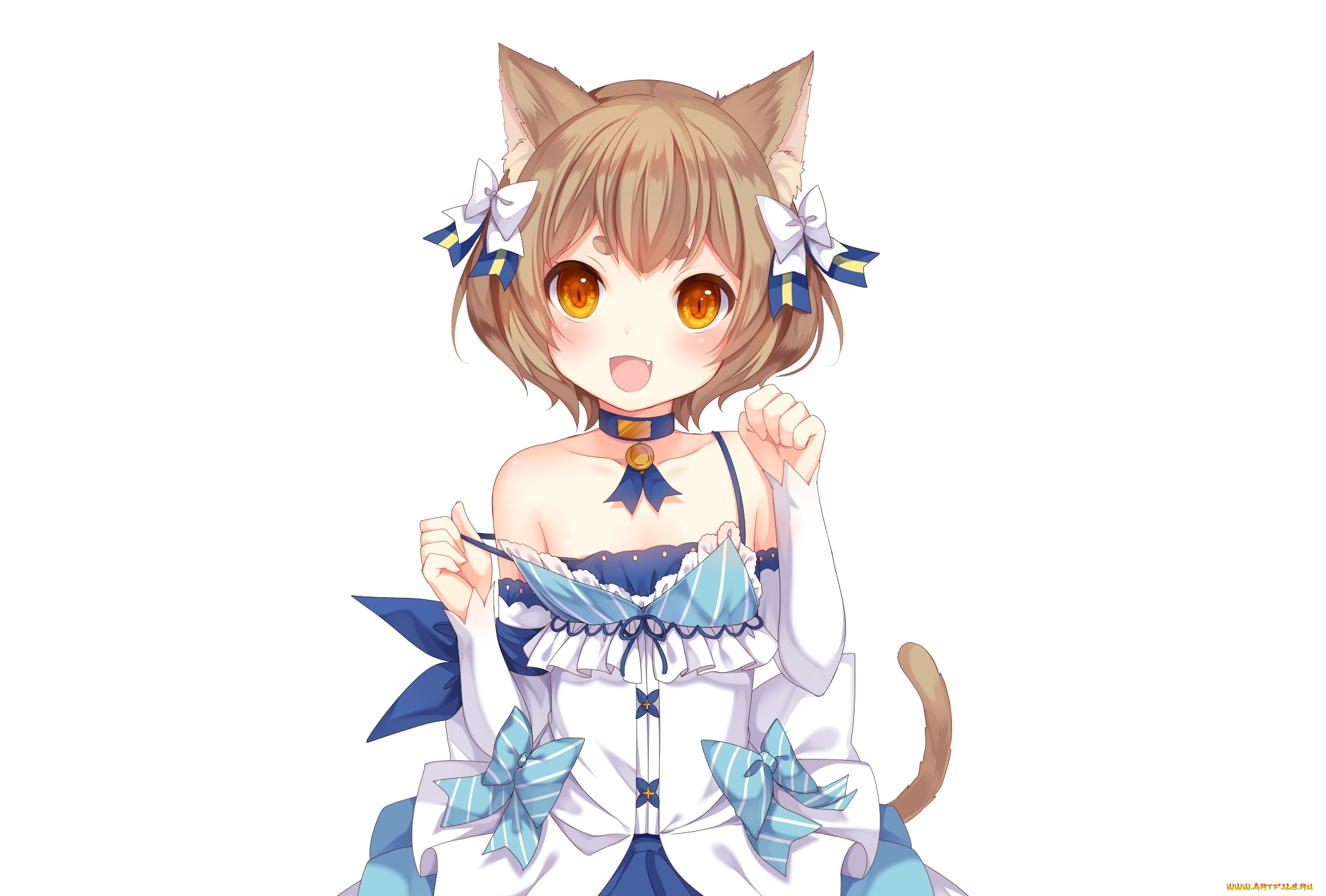 аниме, re, , zero, kara, hajimeru, isekai, seikatsu, неко