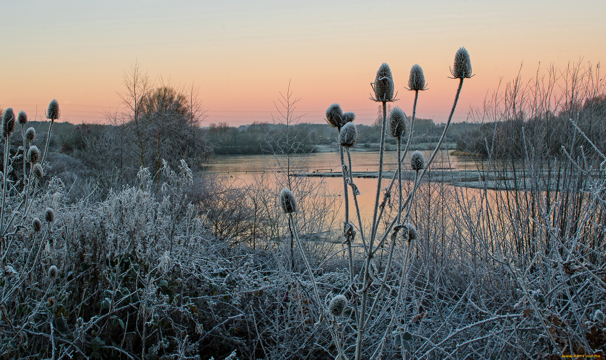 природа, реки, озера, лес, река