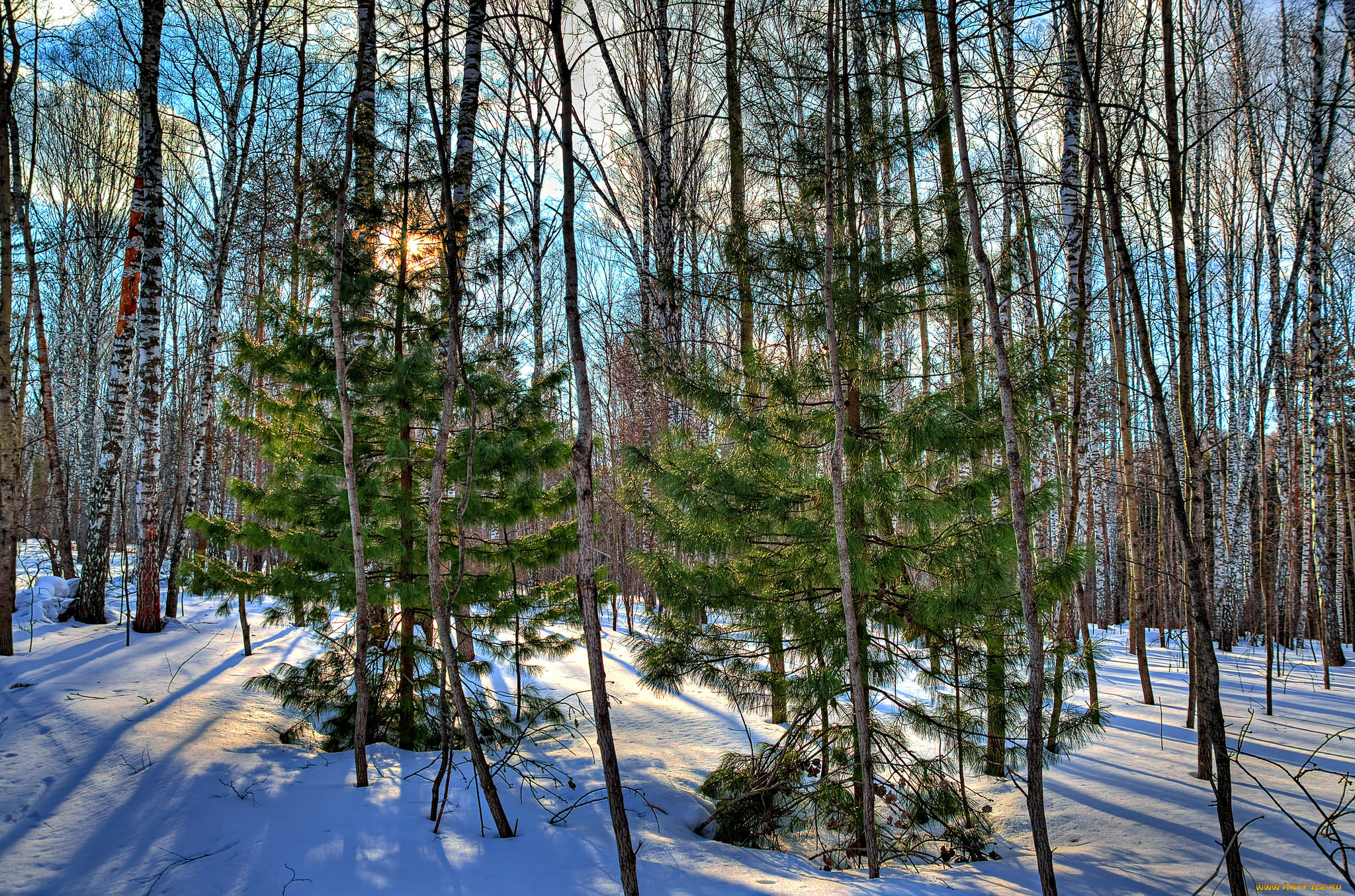 природа, зима, снег