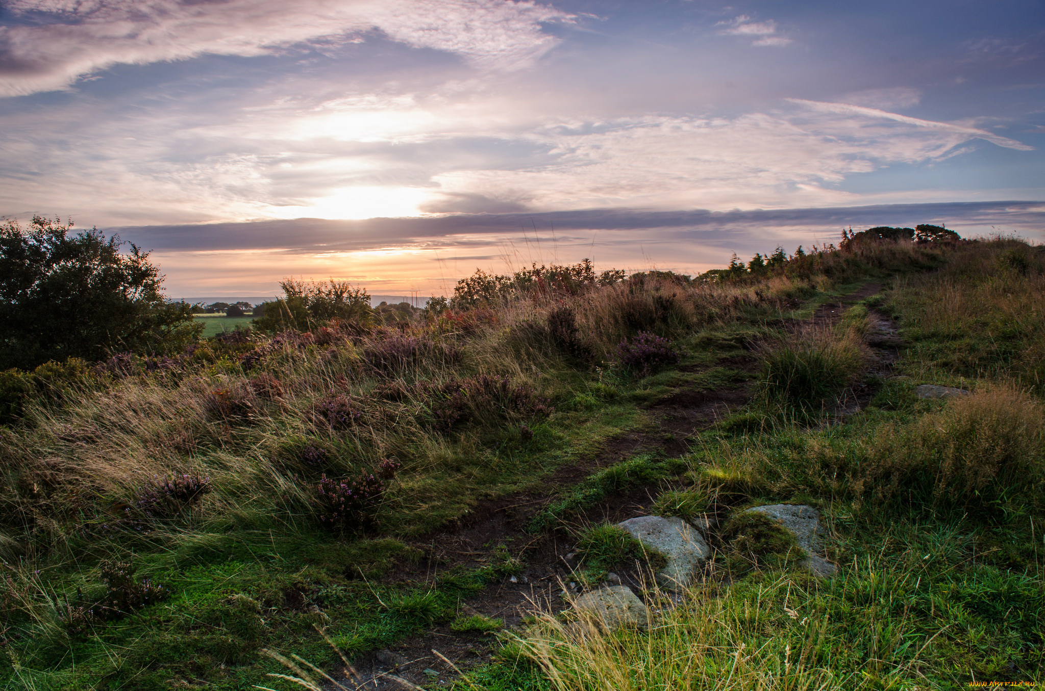 природа, пейзажи, простор