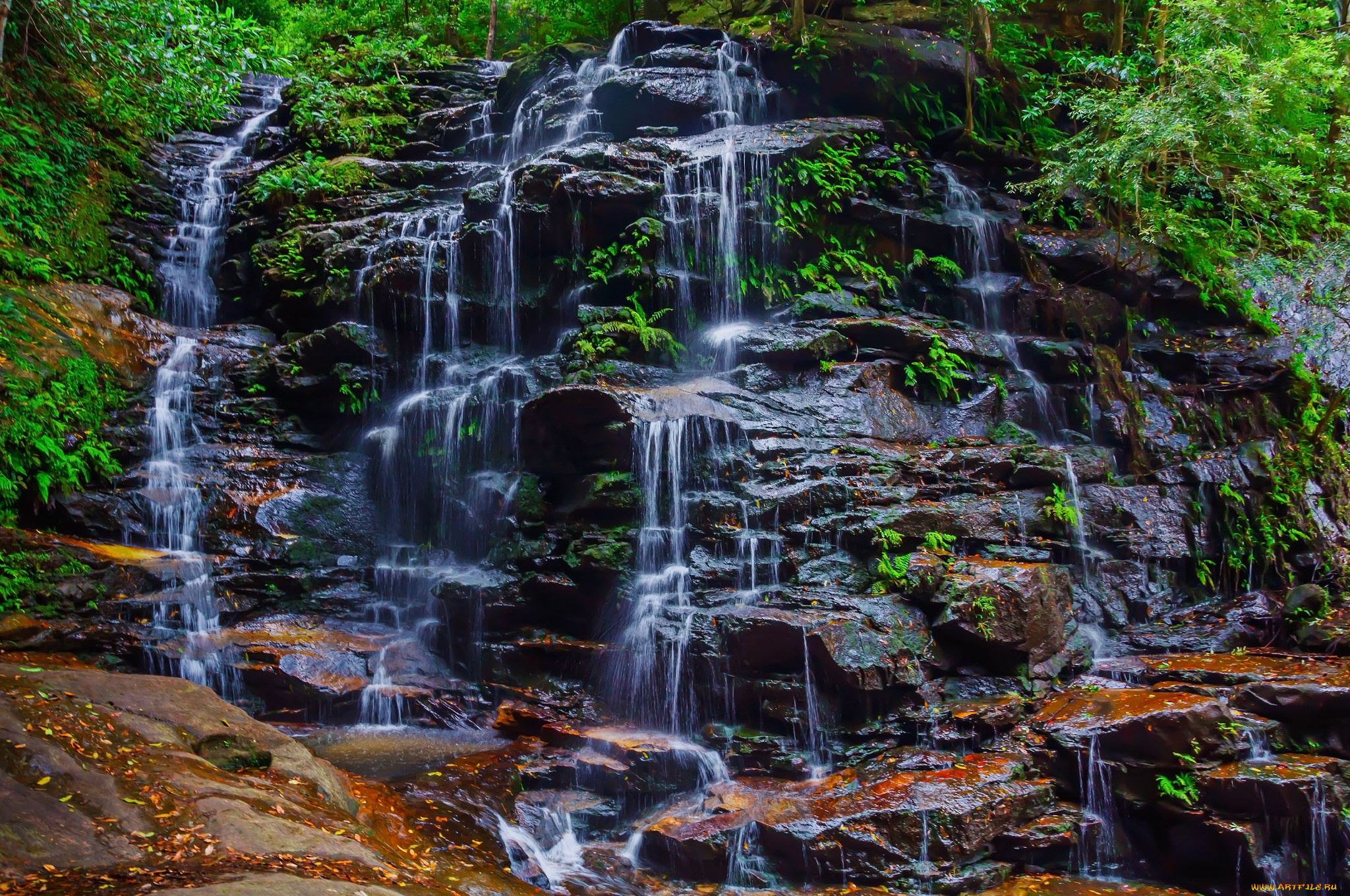 природа, водопады, водопад, река, лес