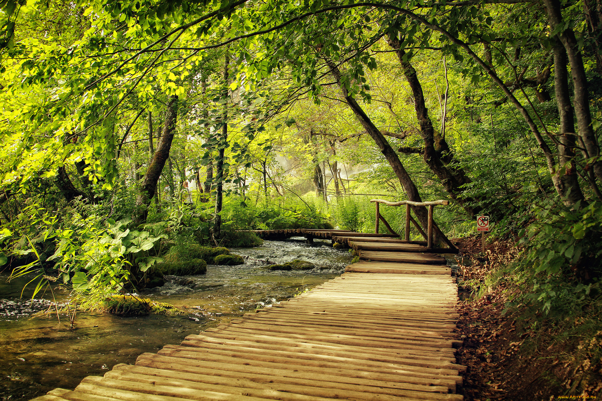 природа, дороги, тракт