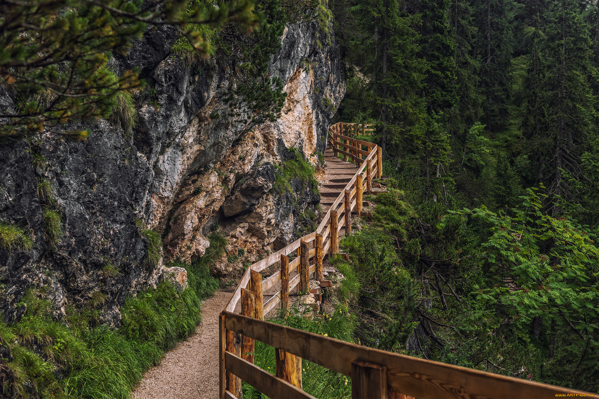 природа, дороги, тракт