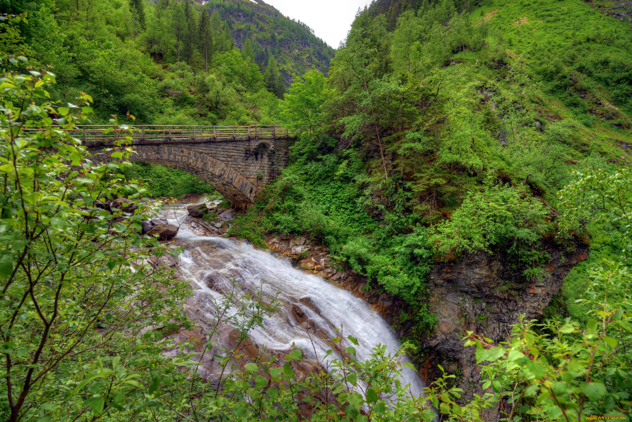 природа, реки, озера, лес, река