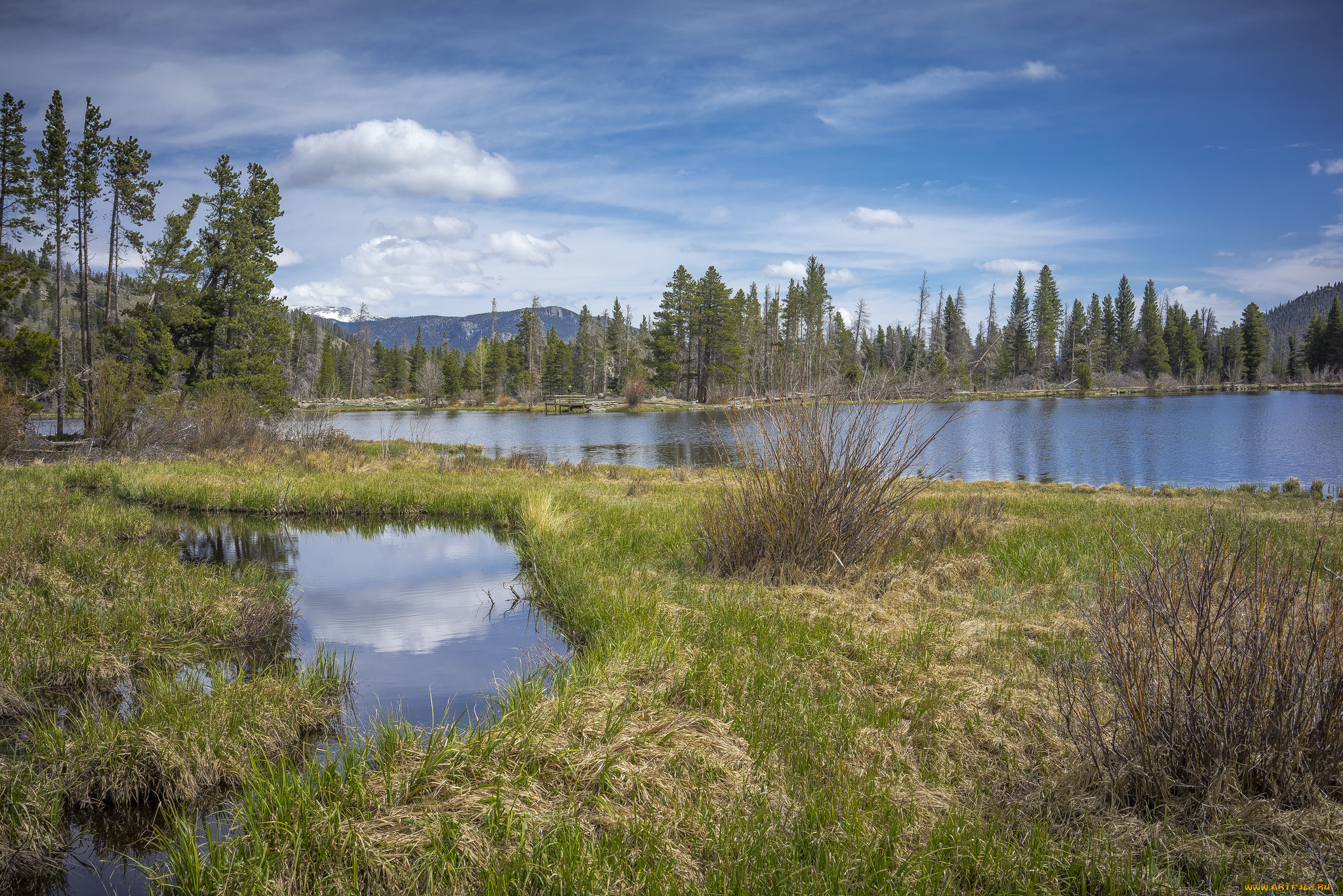 природа, реки, озера, лес, река
