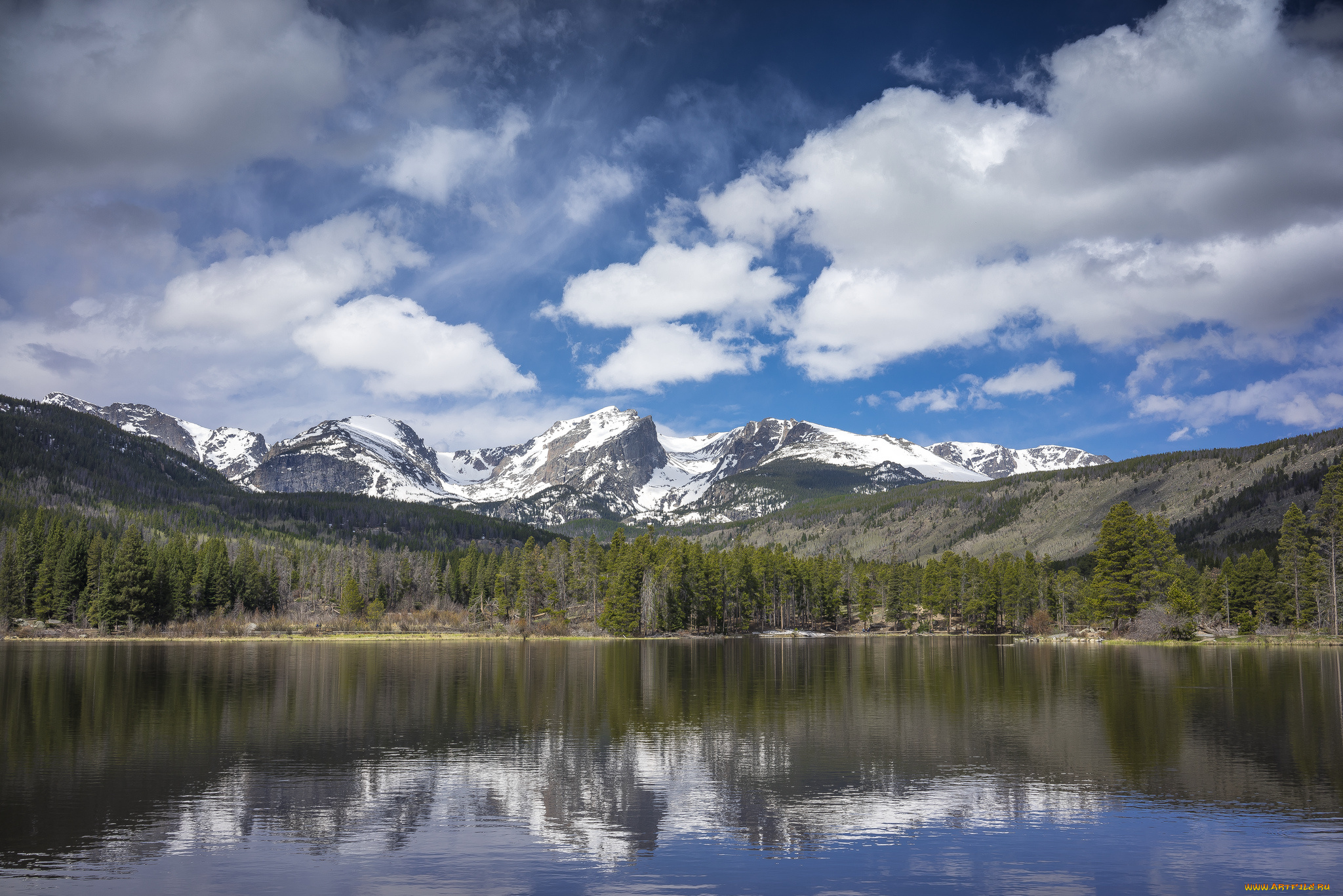 природа, реки, озера, река, лес