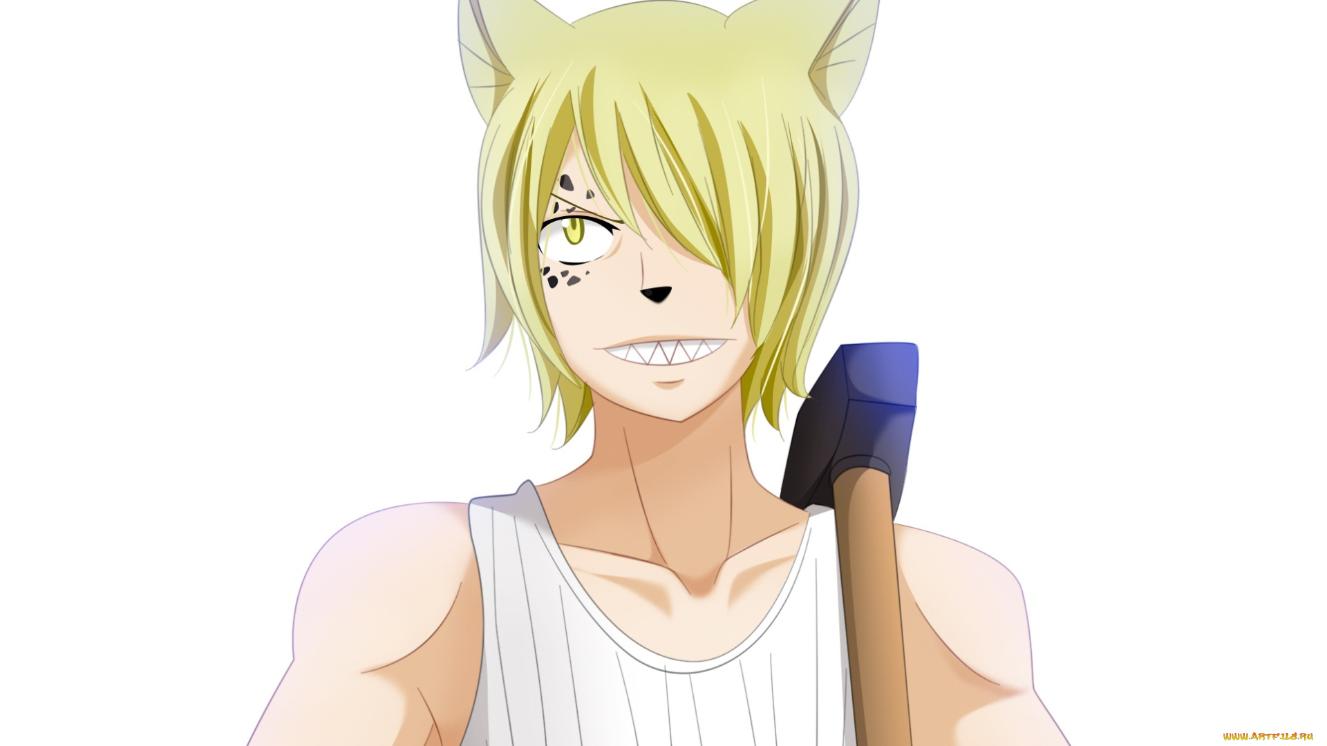 аниме, fairy, tail, хвост, феи