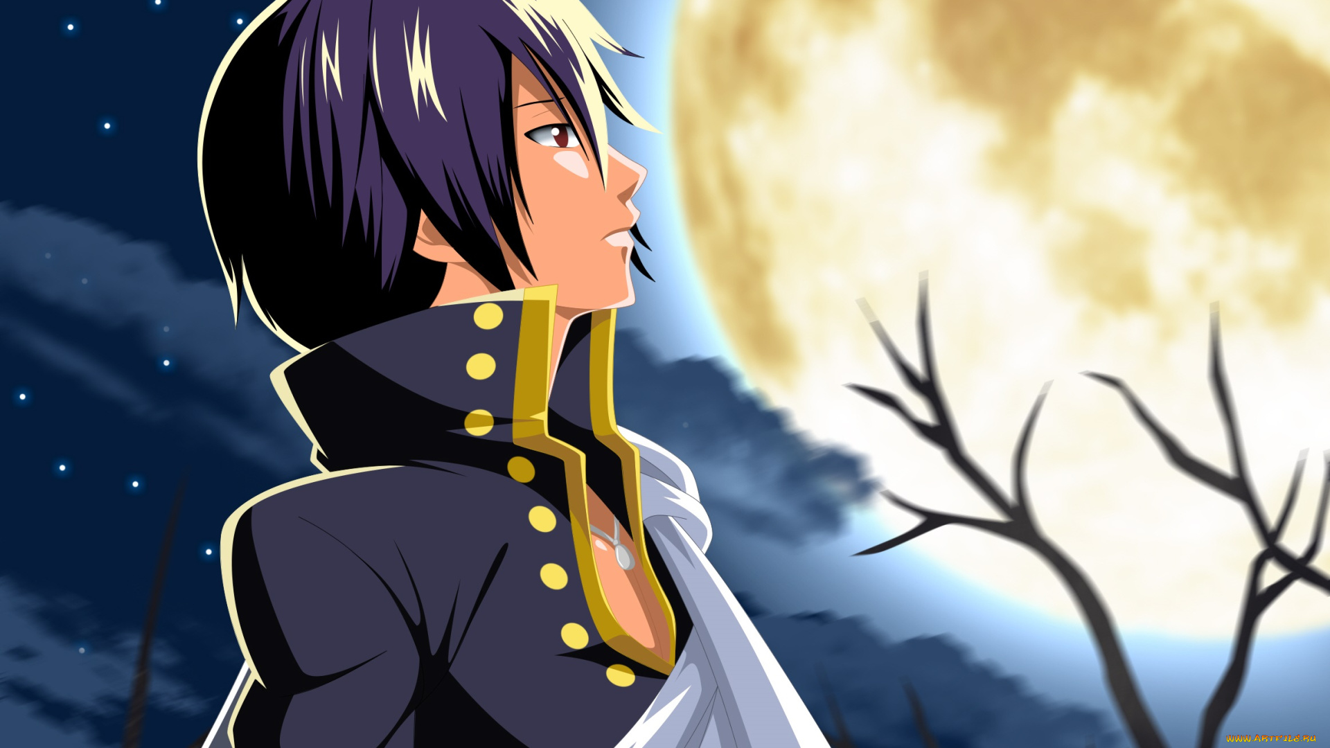 аниме, fairy, tail, зереф