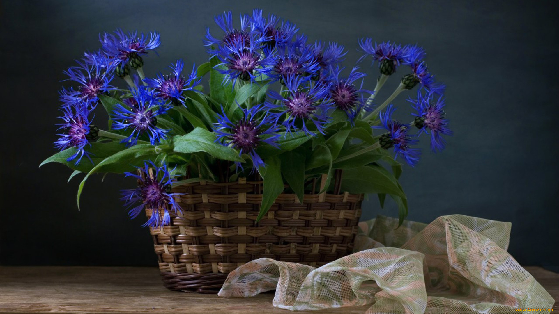 цветы, васильки, ткань, доска, полки, тюль, корзины
