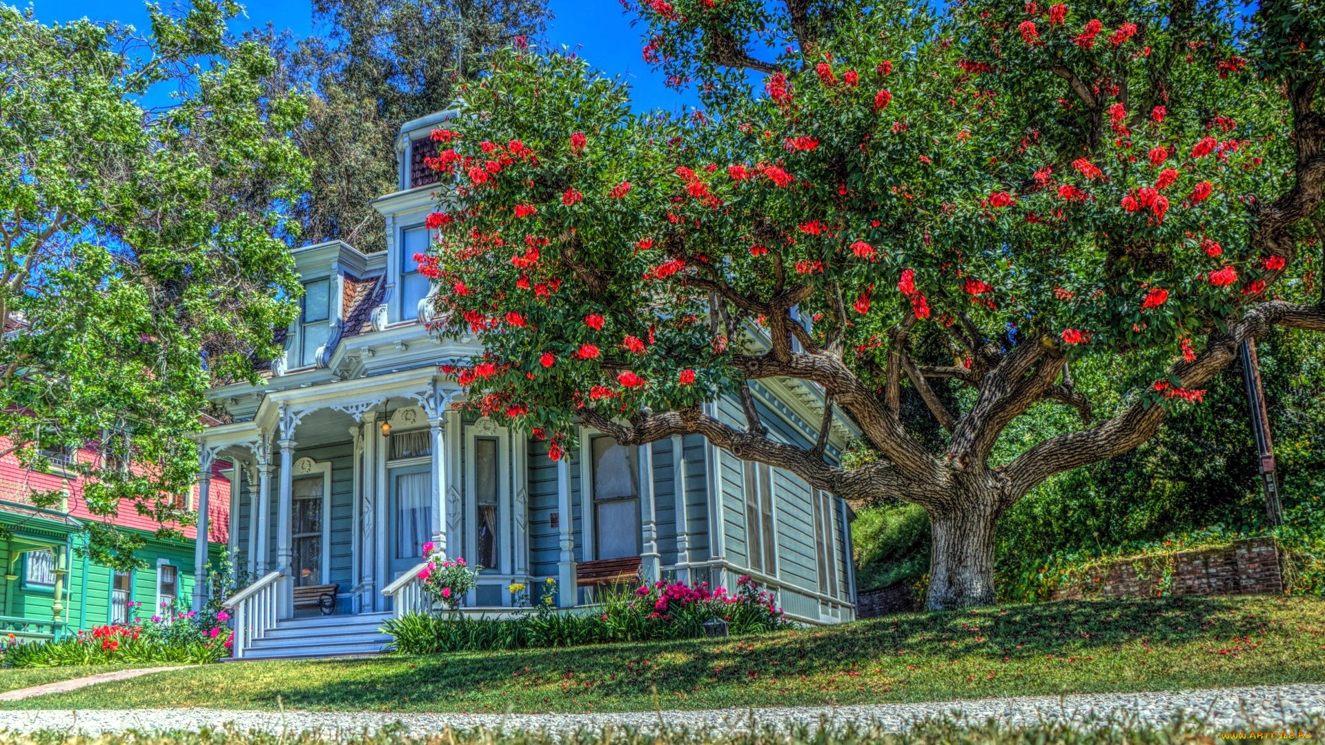 города, -, здания, , дома, цветы, дом, дерево