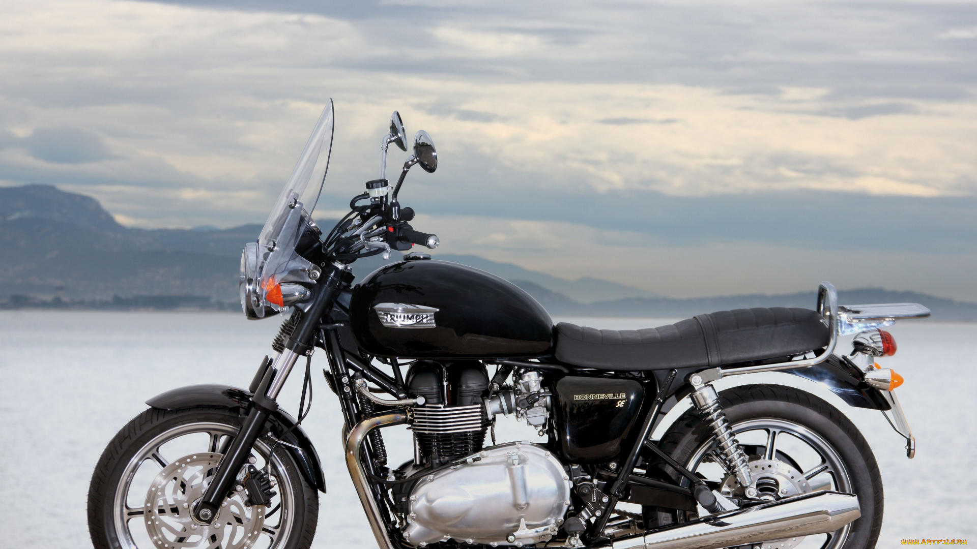 мотоциклы, triumph