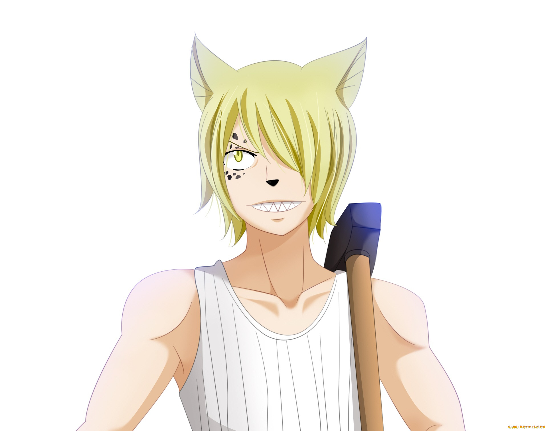 аниме, fairy, tail, хвост, феи