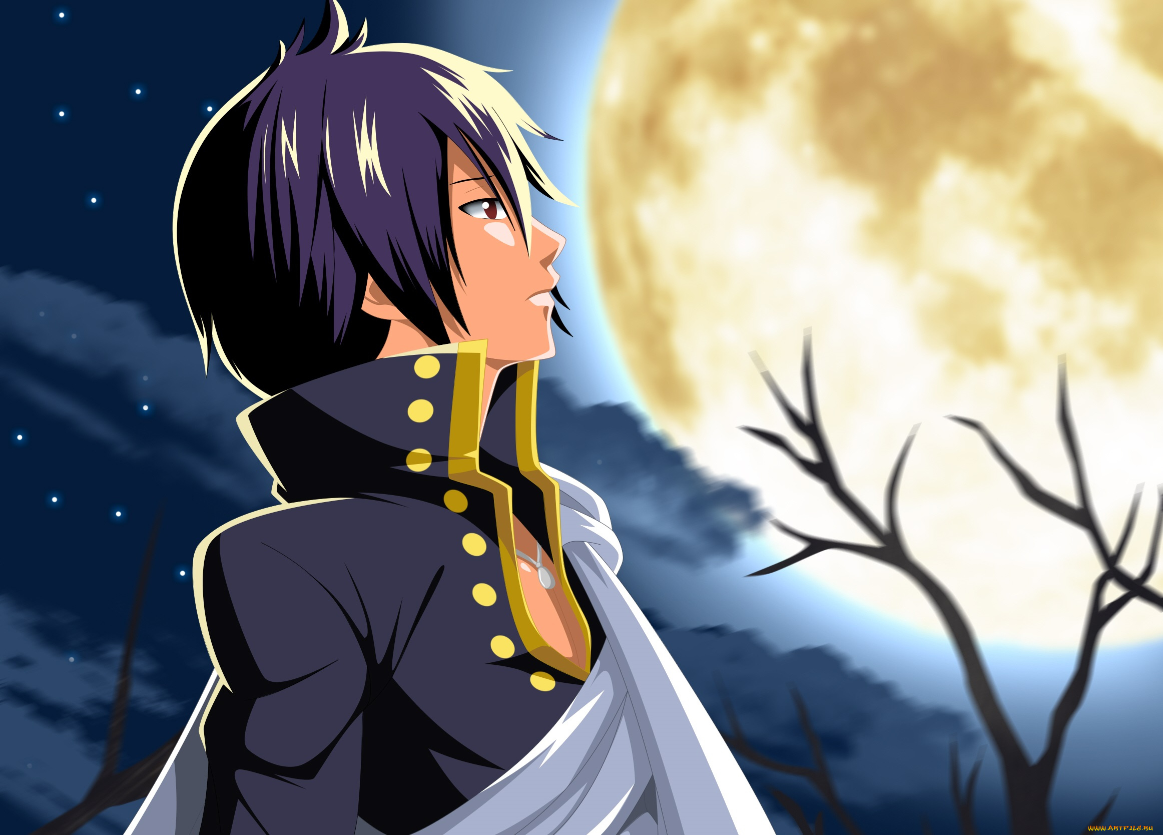 аниме, fairy, tail, зереф