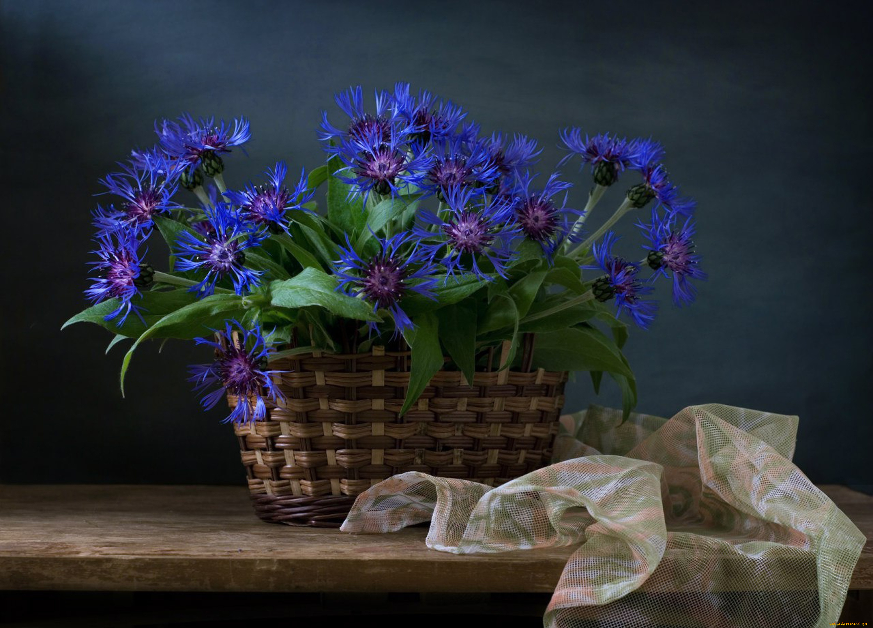цветы, васильки, ткань, доска, полки, тюль, корзины
