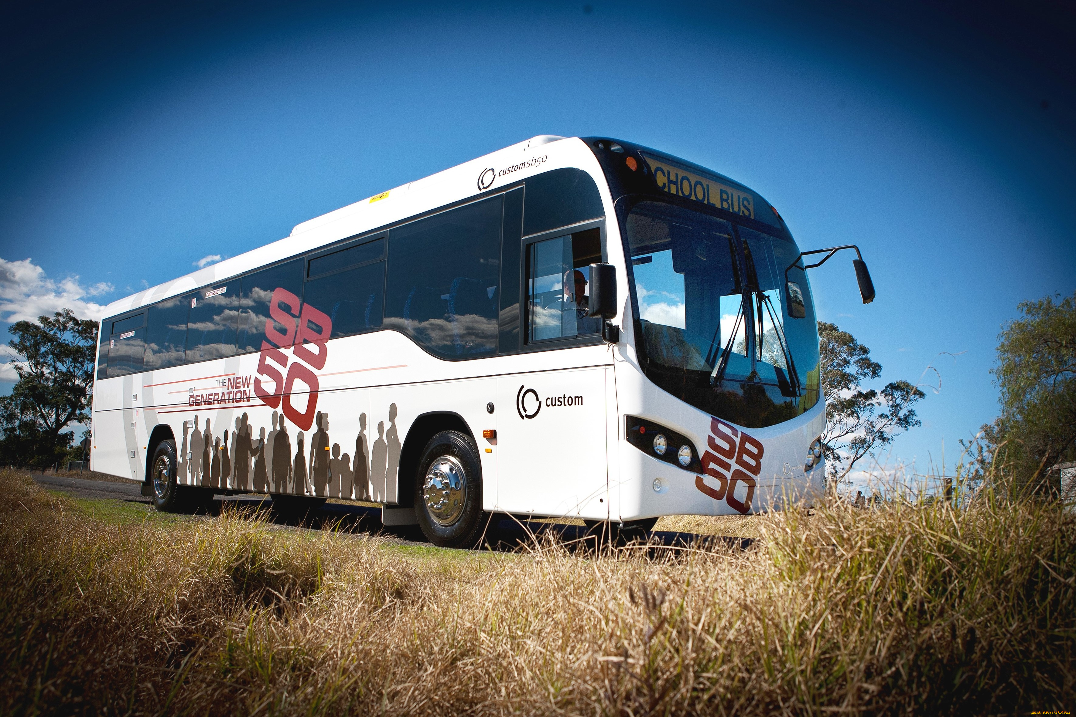 автомобили, автобусы, custom