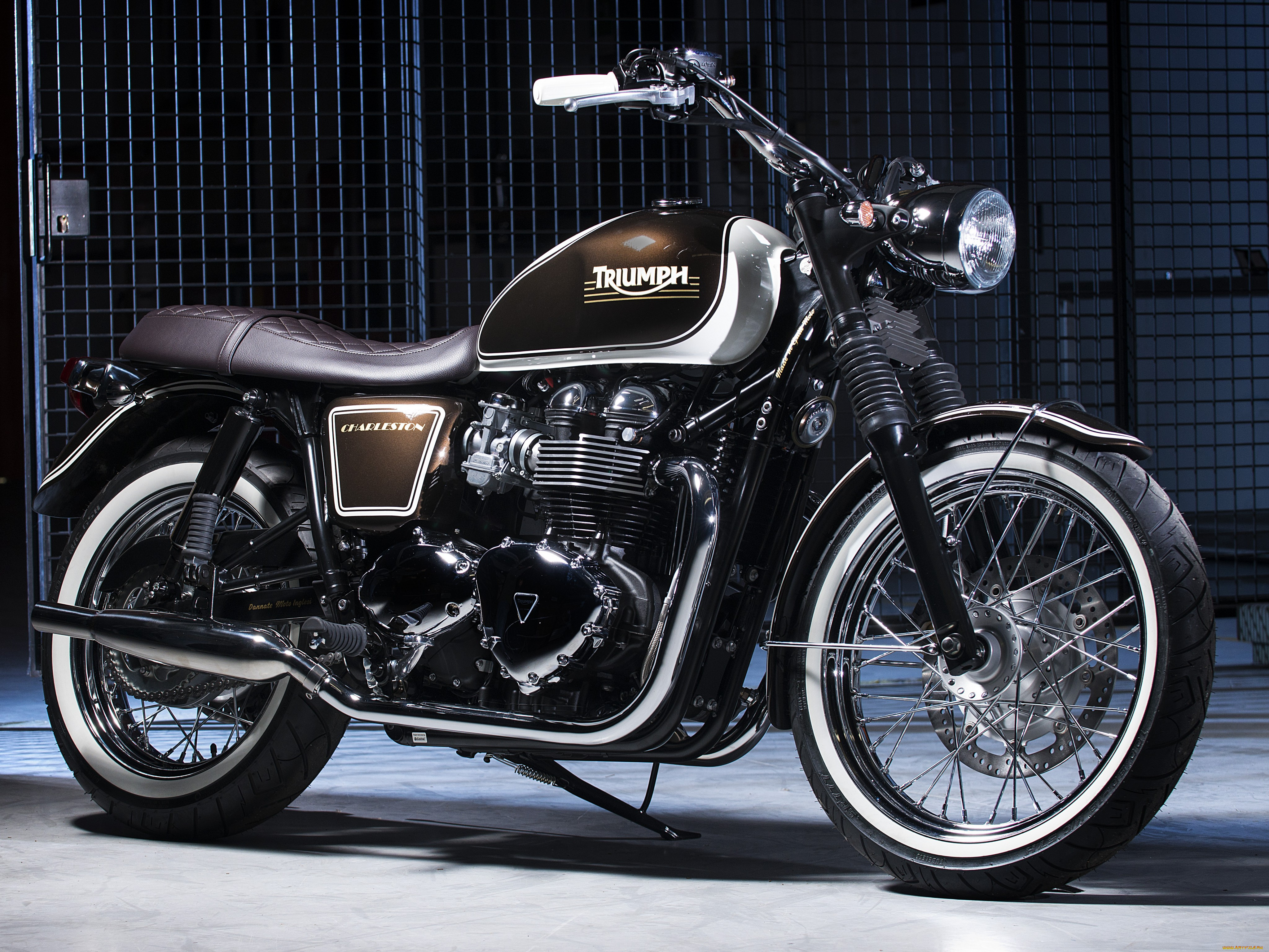 мотоциклы, triumph