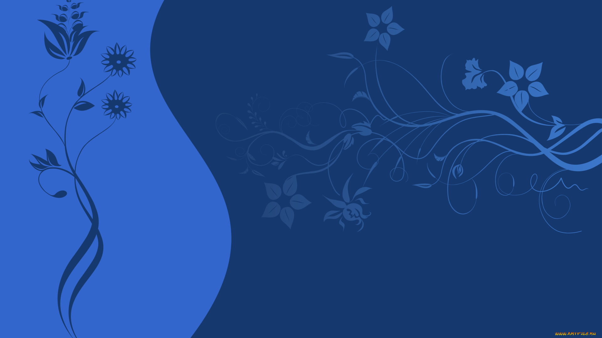 векторная, графика, цветы, , flowers, узор, цветы, синий, фон, текстура, вектор