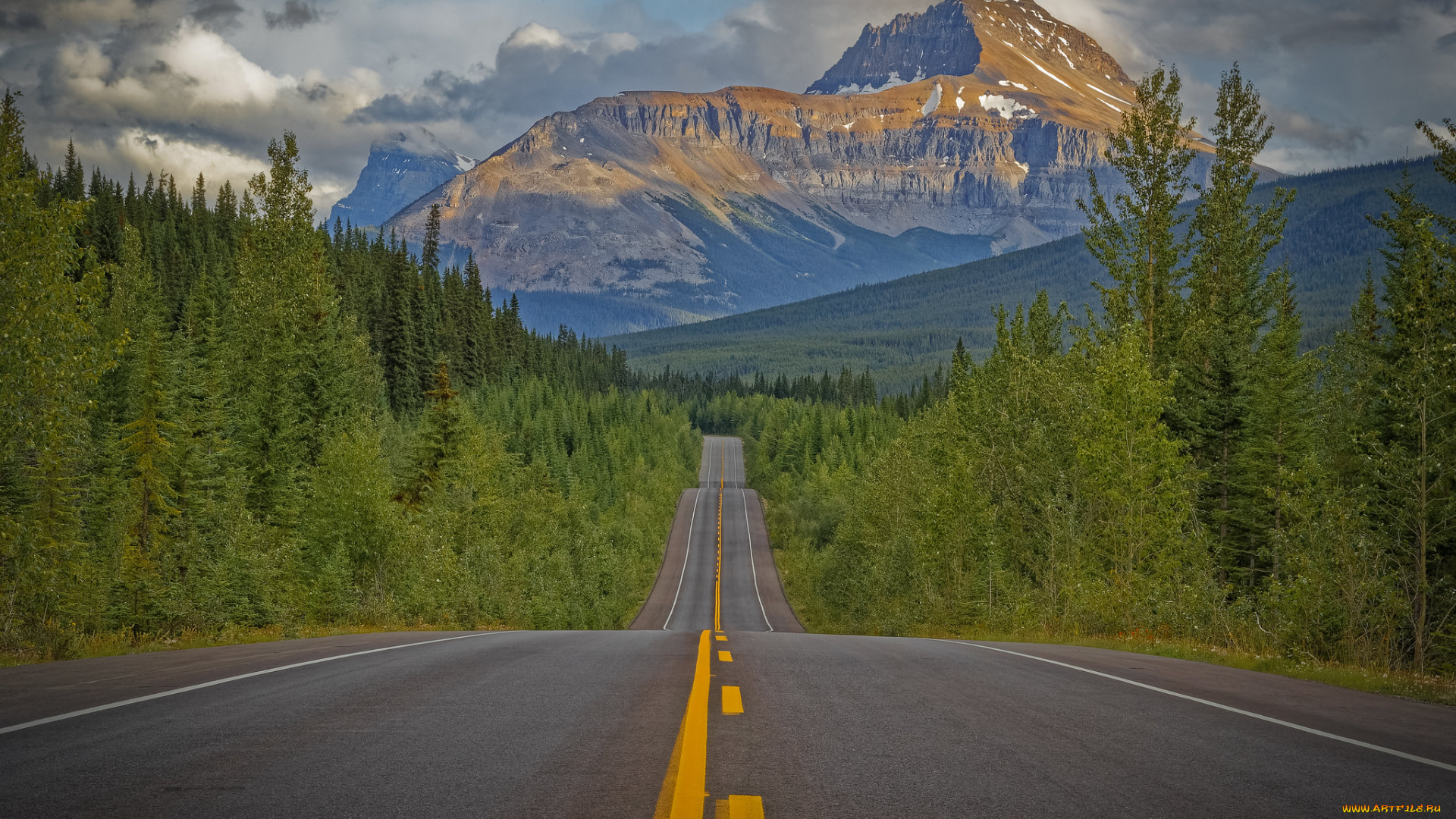 природа, дороги, простор