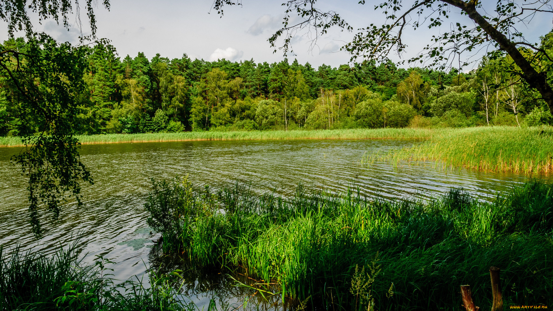 природа, реки, озера, простор