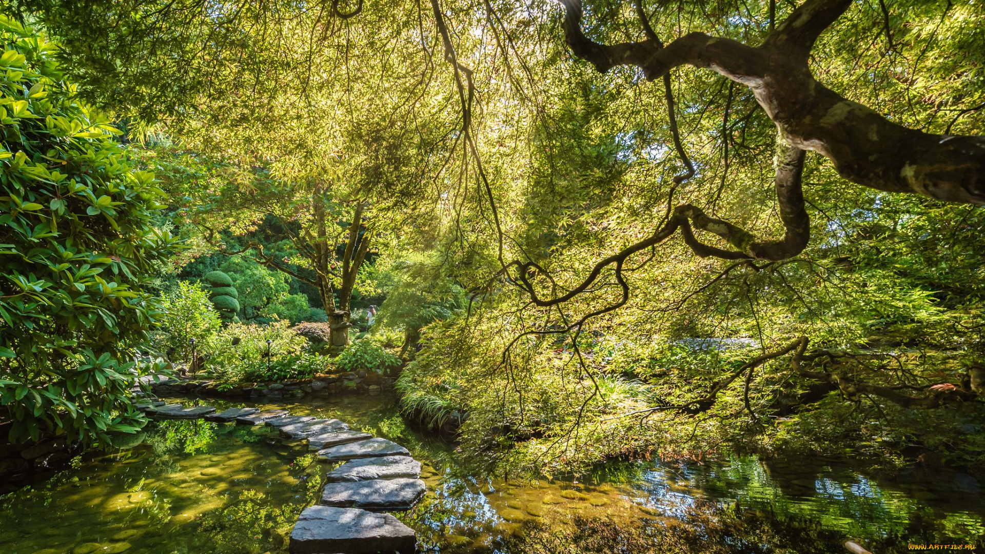 природа, реки, озера, простор