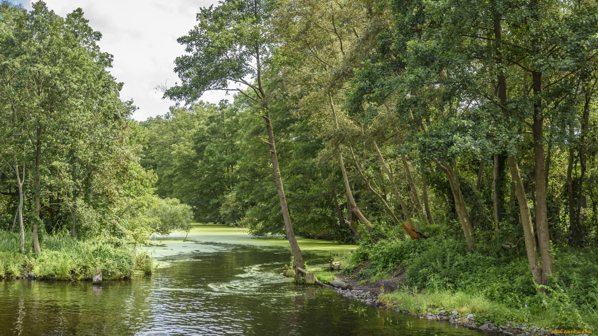 природа, реки, озера, простор