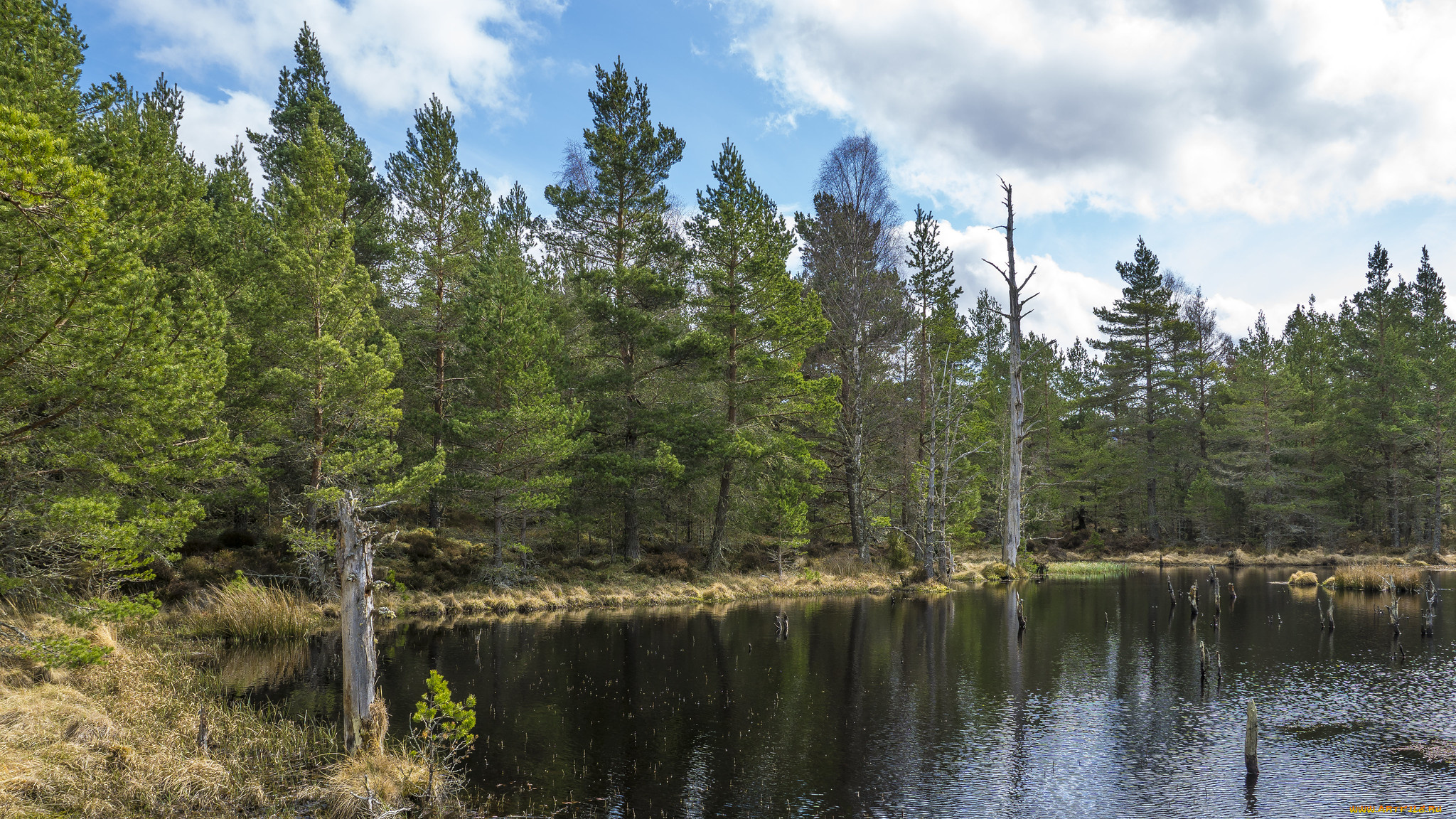 природа, реки, озера, простор