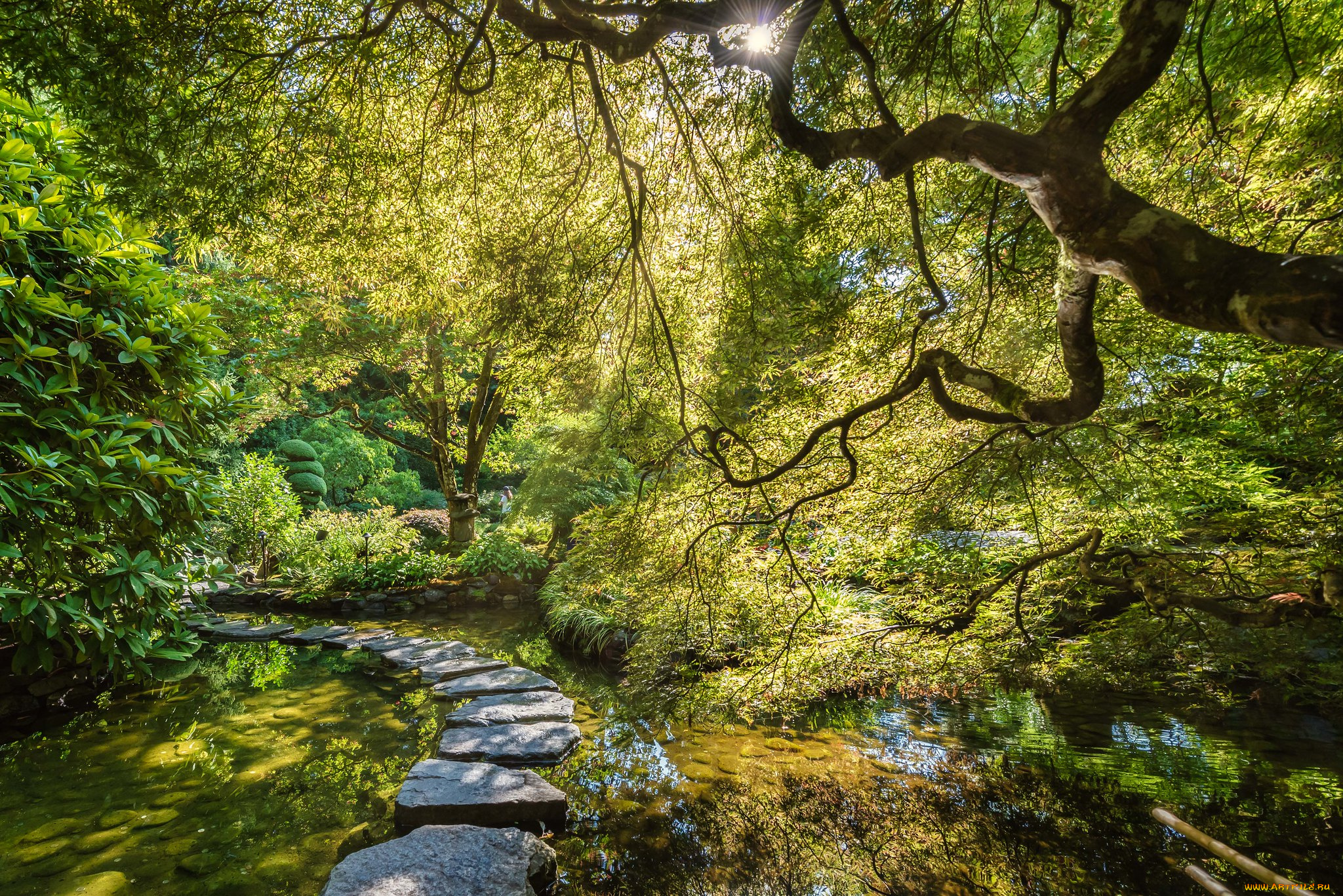 природа, реки, озера, простор