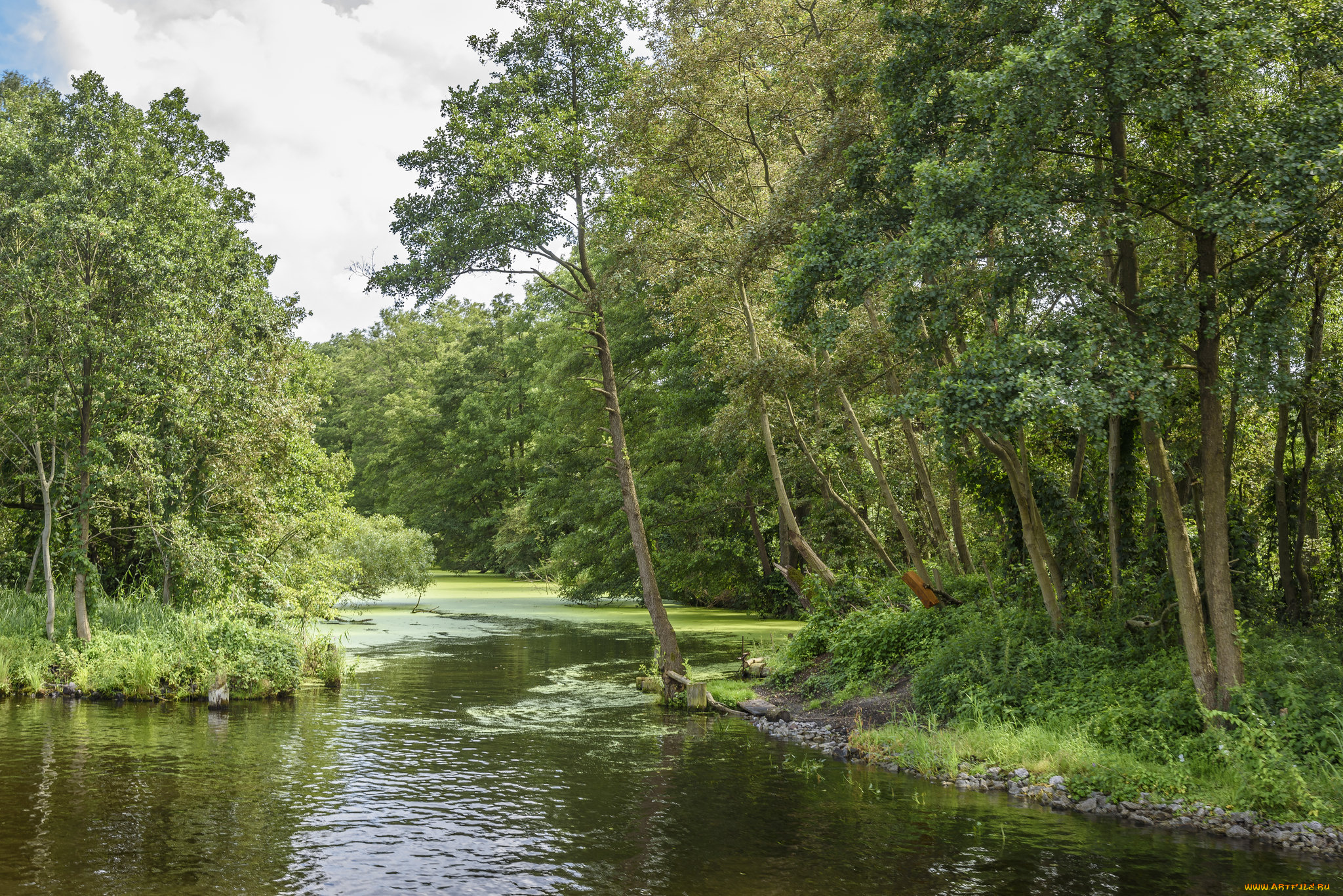 природа, реки, озера, простор