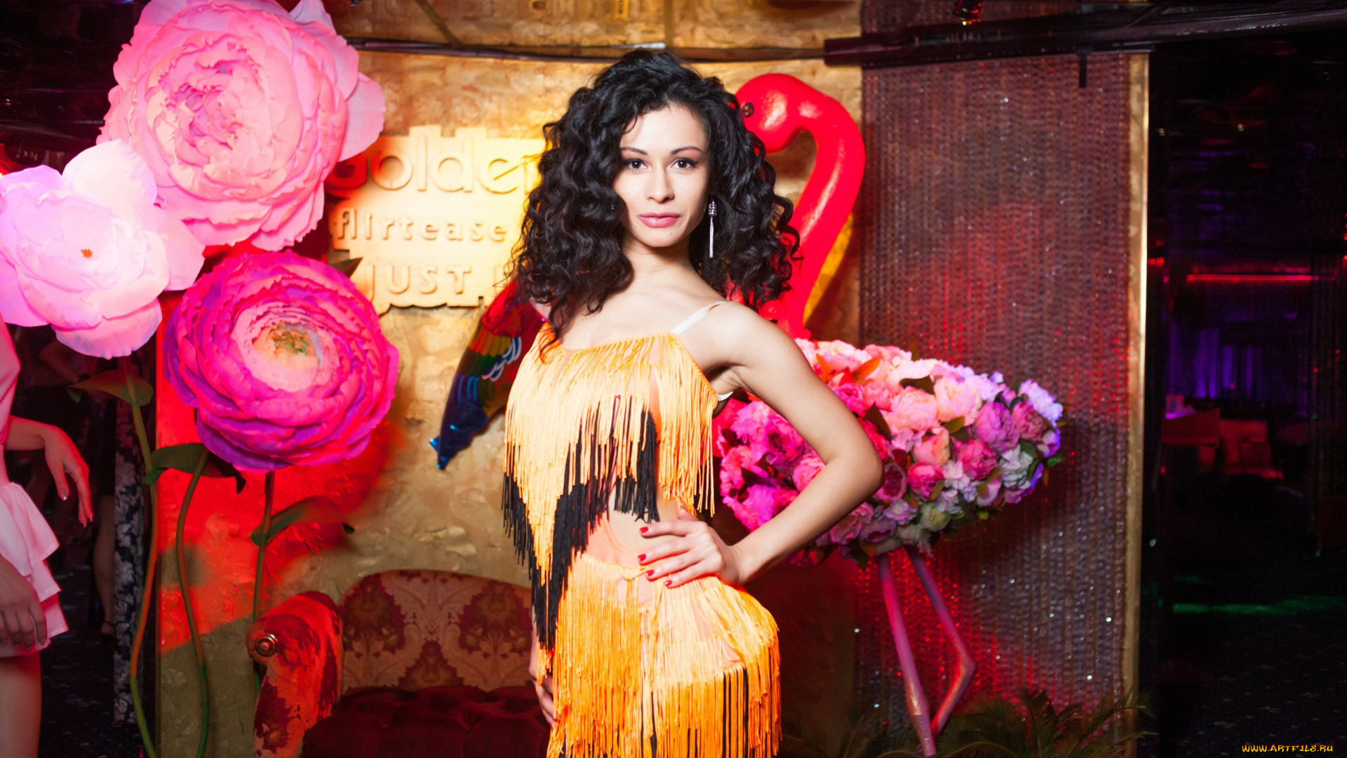 девушки, -, брюнетки, , шатенки, golden, girls, ночной, клуб, модель, ?????????