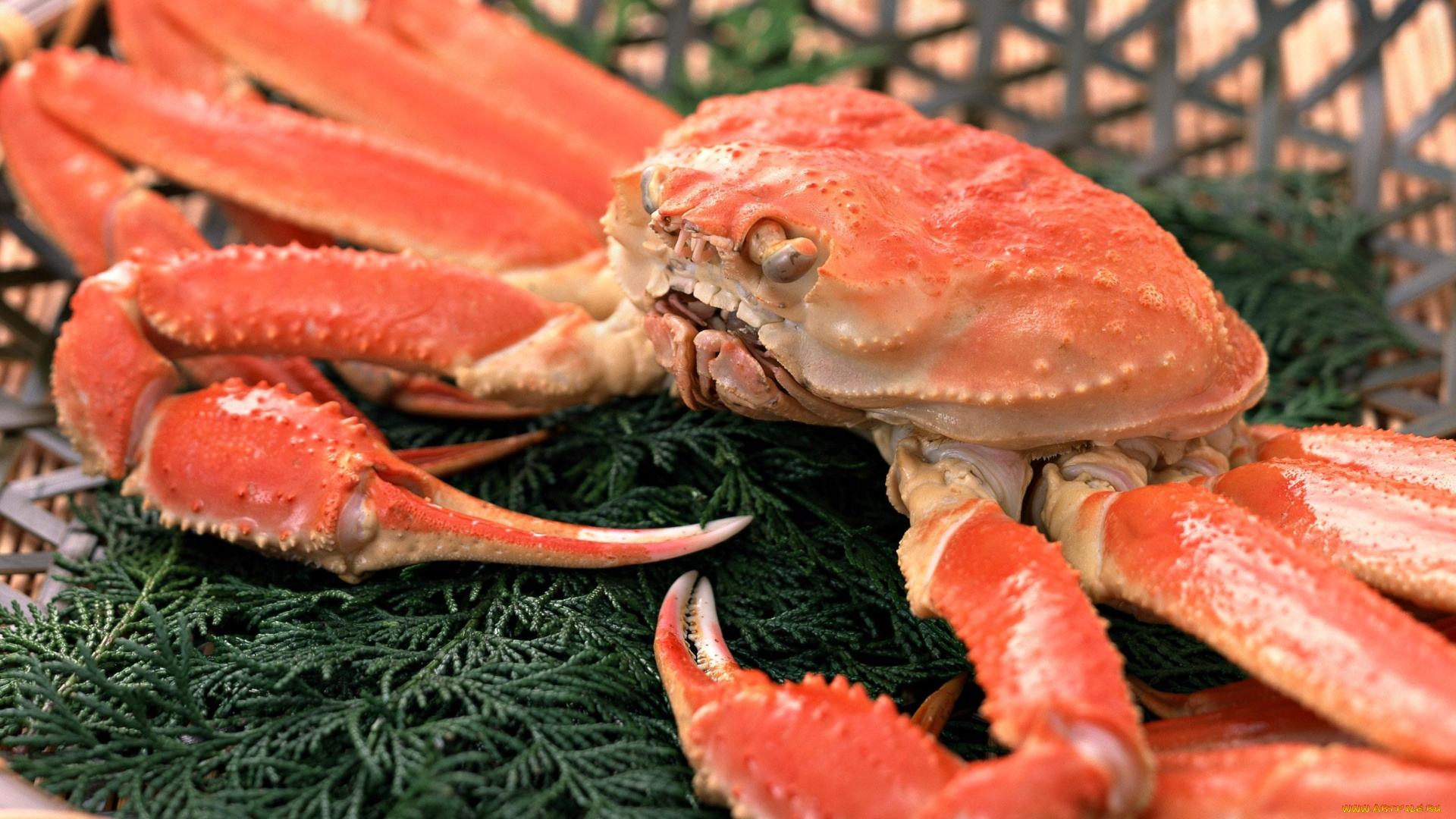 еда, рыба, , морепродукты, , суши, , роллы, краб