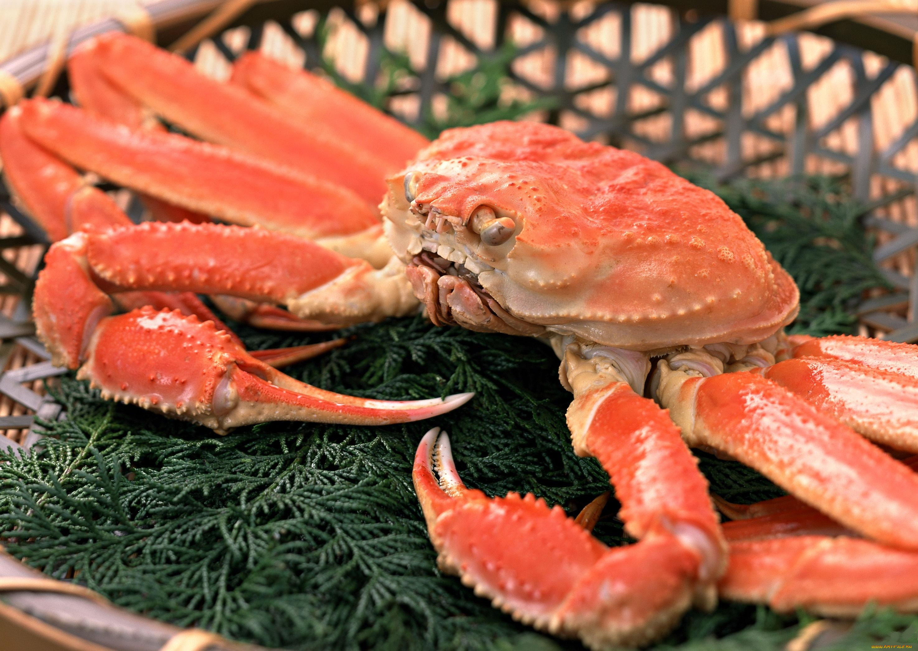 еда, рыба, , морепродукты, , суши, , роллы, краб