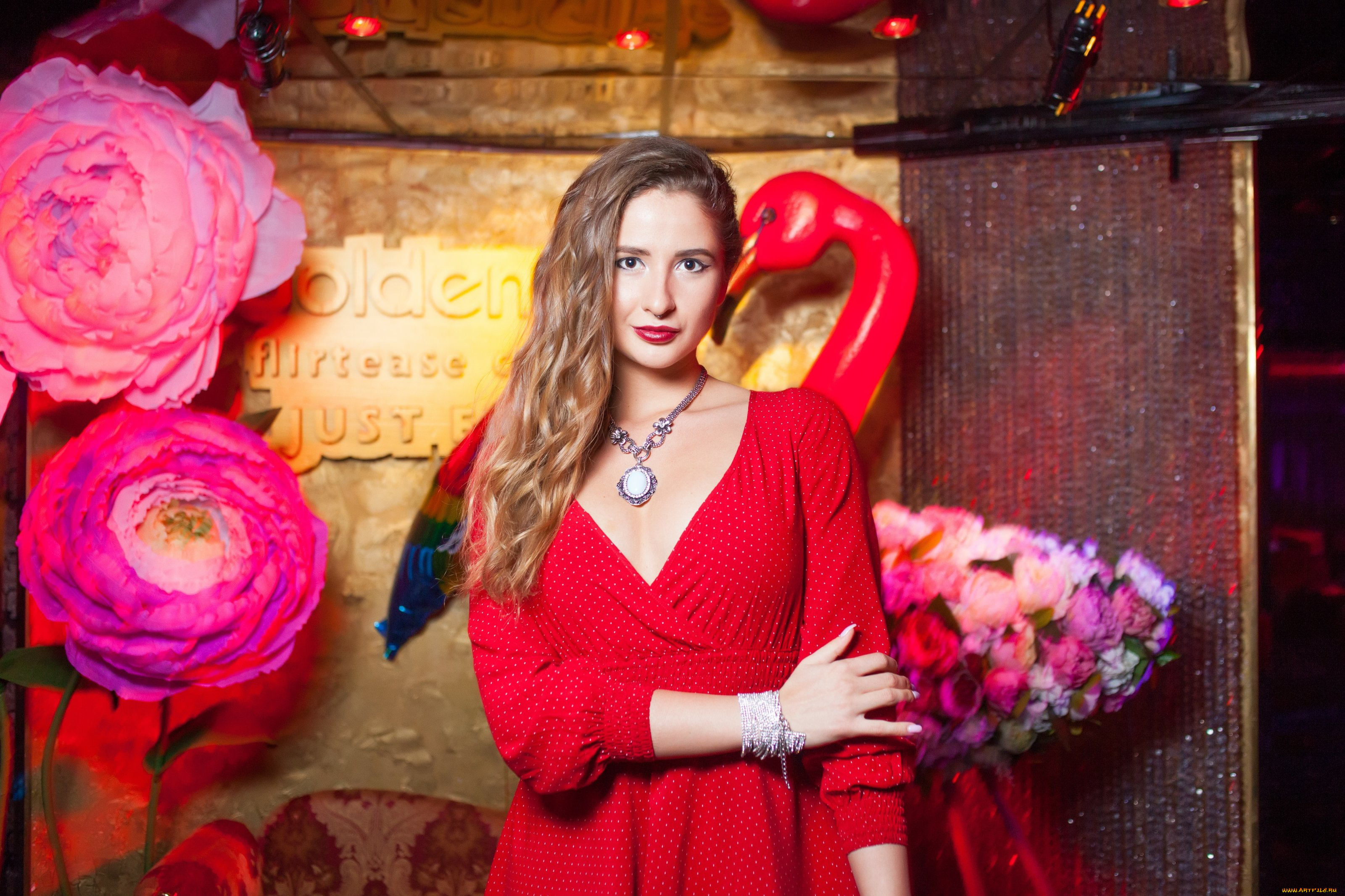 девушки, -, блондинки, , светловолосые, golden, girls, ночной, клуб, модель