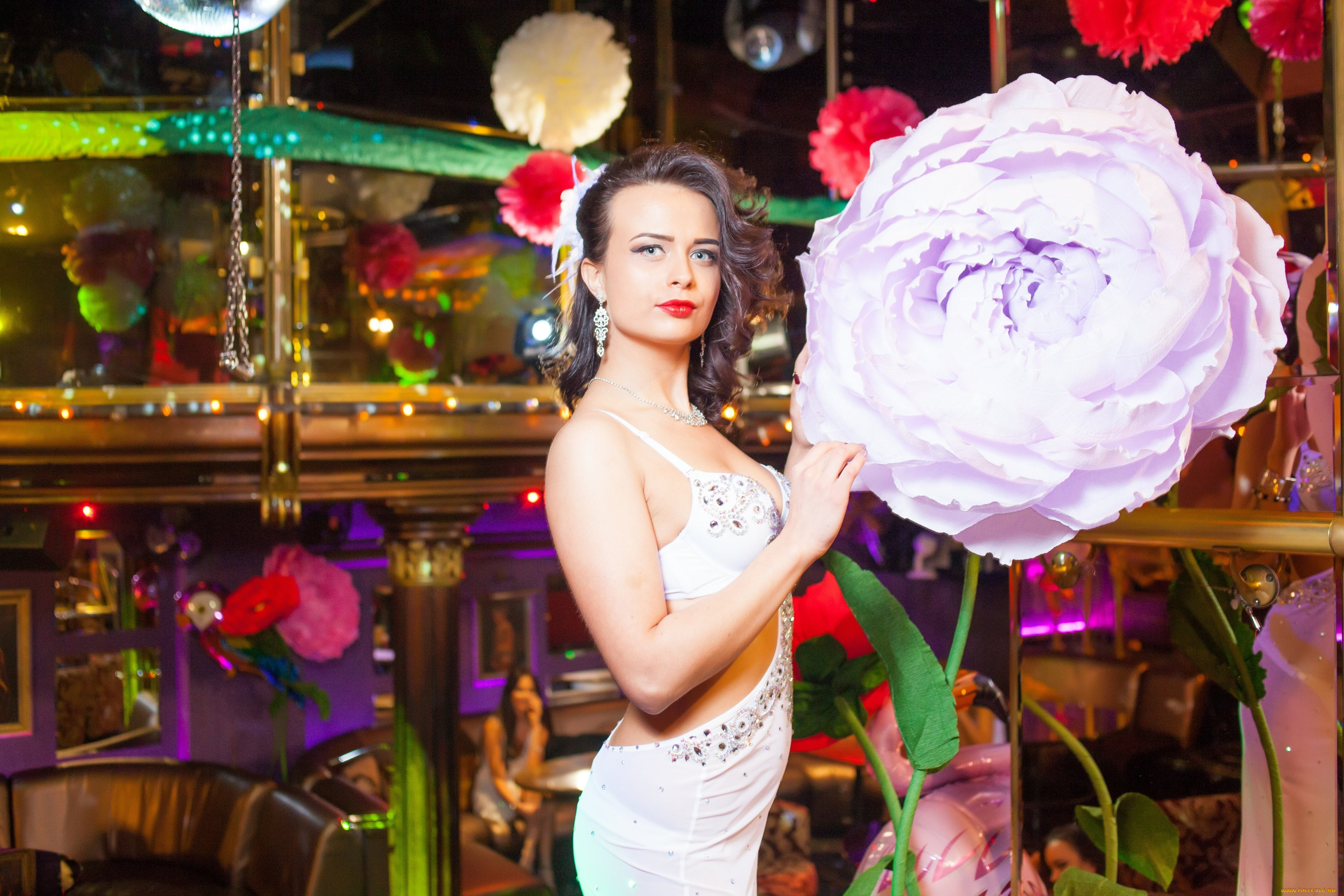 девушки, -, брюнетки, , шатенки, golden, girls, ночной, клуб, модель