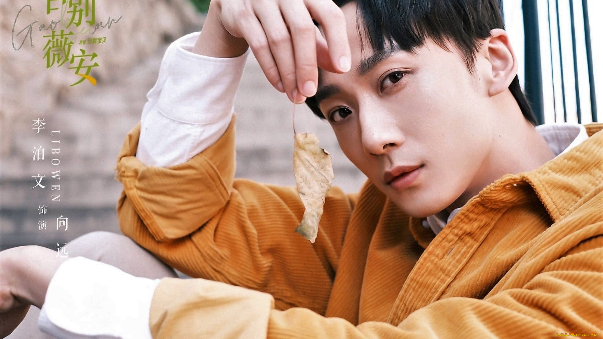 мужчины, li, bo, wen, актер, куртка, листик