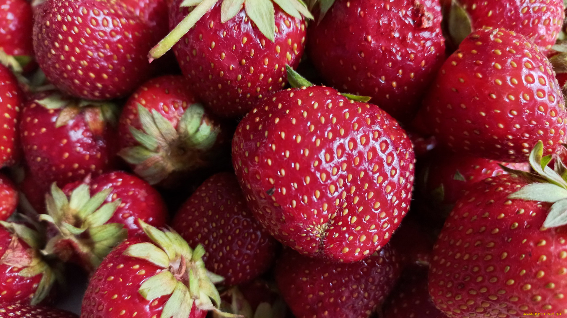 еда, клубника, , земляника, свежая, ягоды, спелая