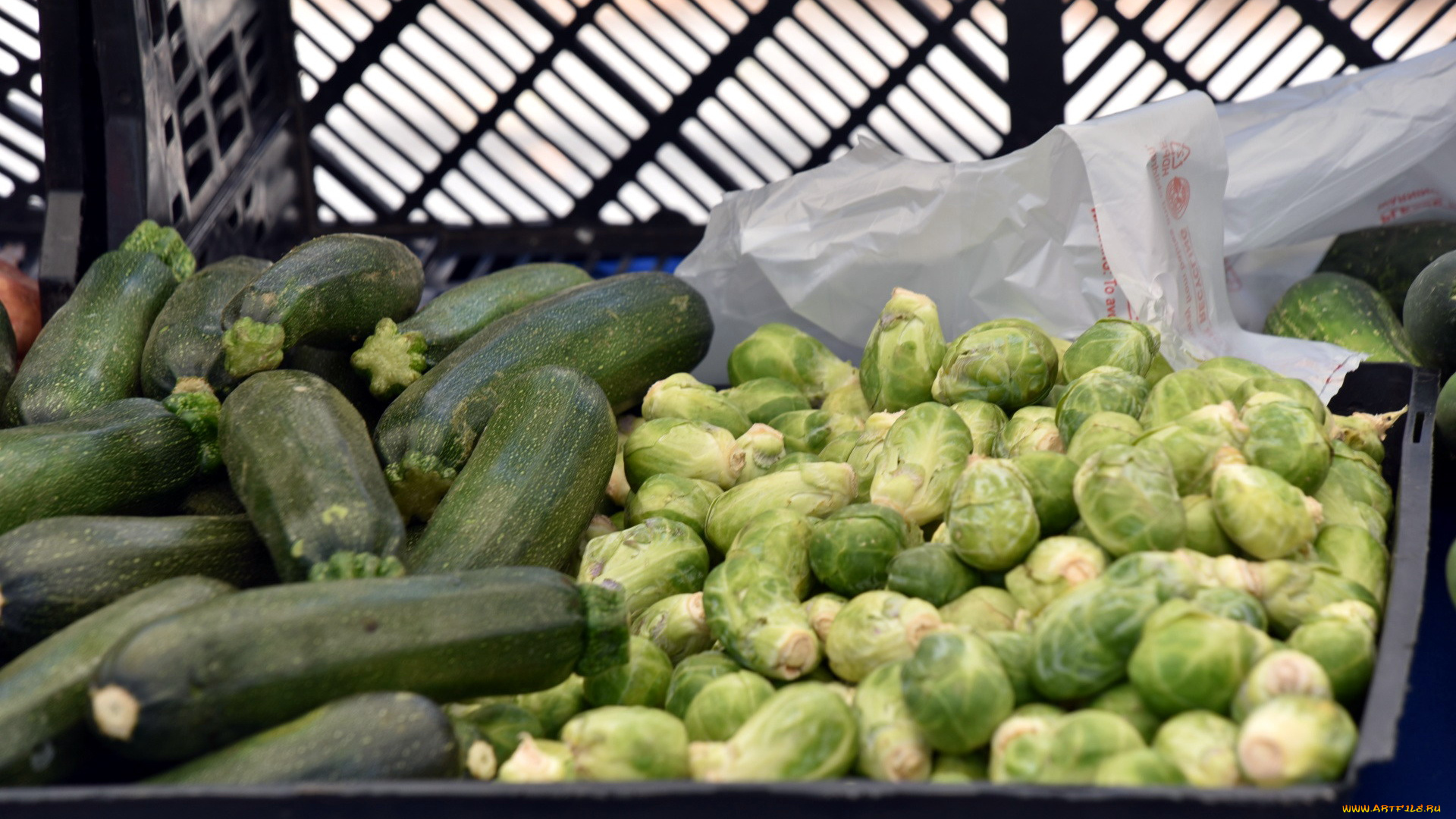 еда, овощи, цукини, капуста, брюссельская
