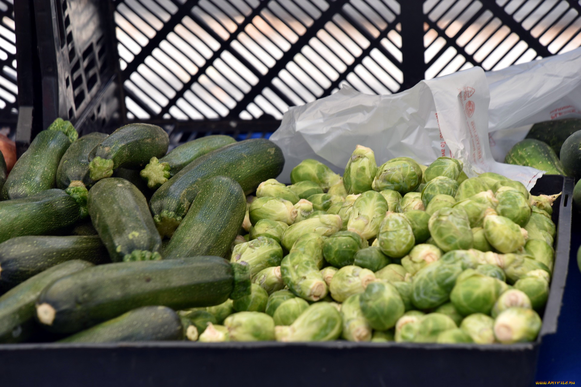 еда, овощи, цукини, капуста, брюссельская