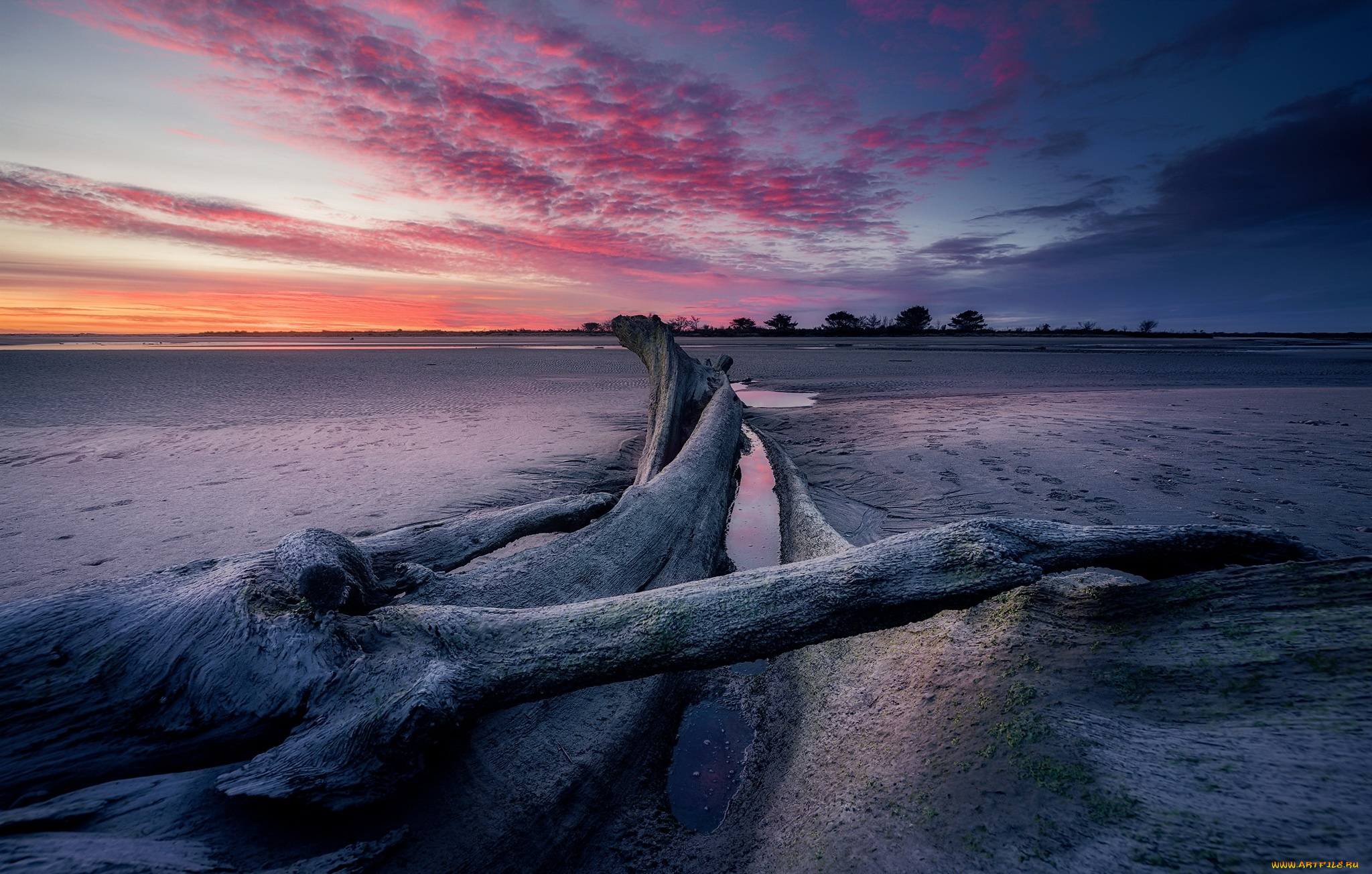 природа, побережье, пляж